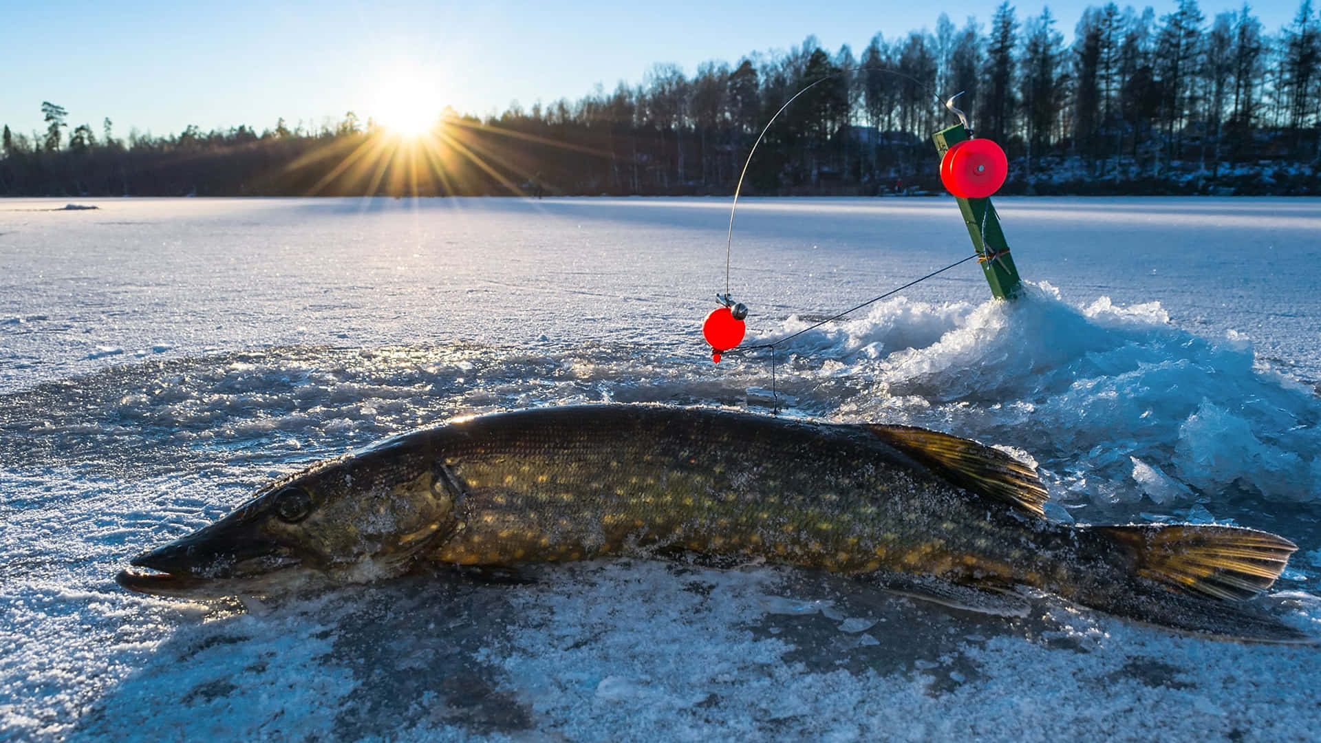 Angler Ice Fishing on a Frozen Lake Wallpaper