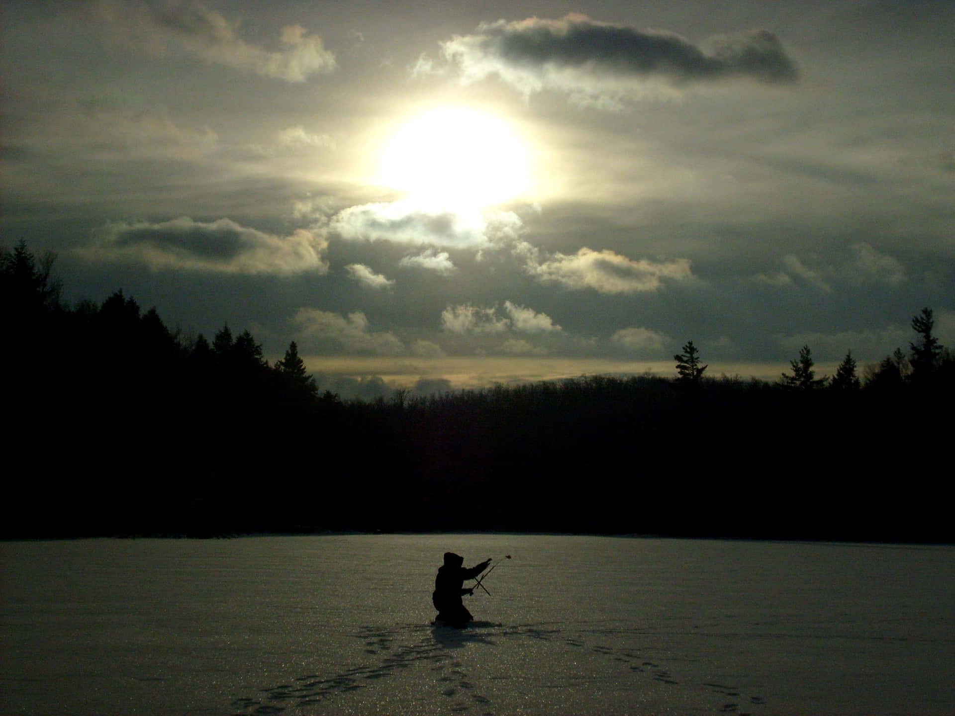 Aventuracongelada Te Espera Fondo de pantalla