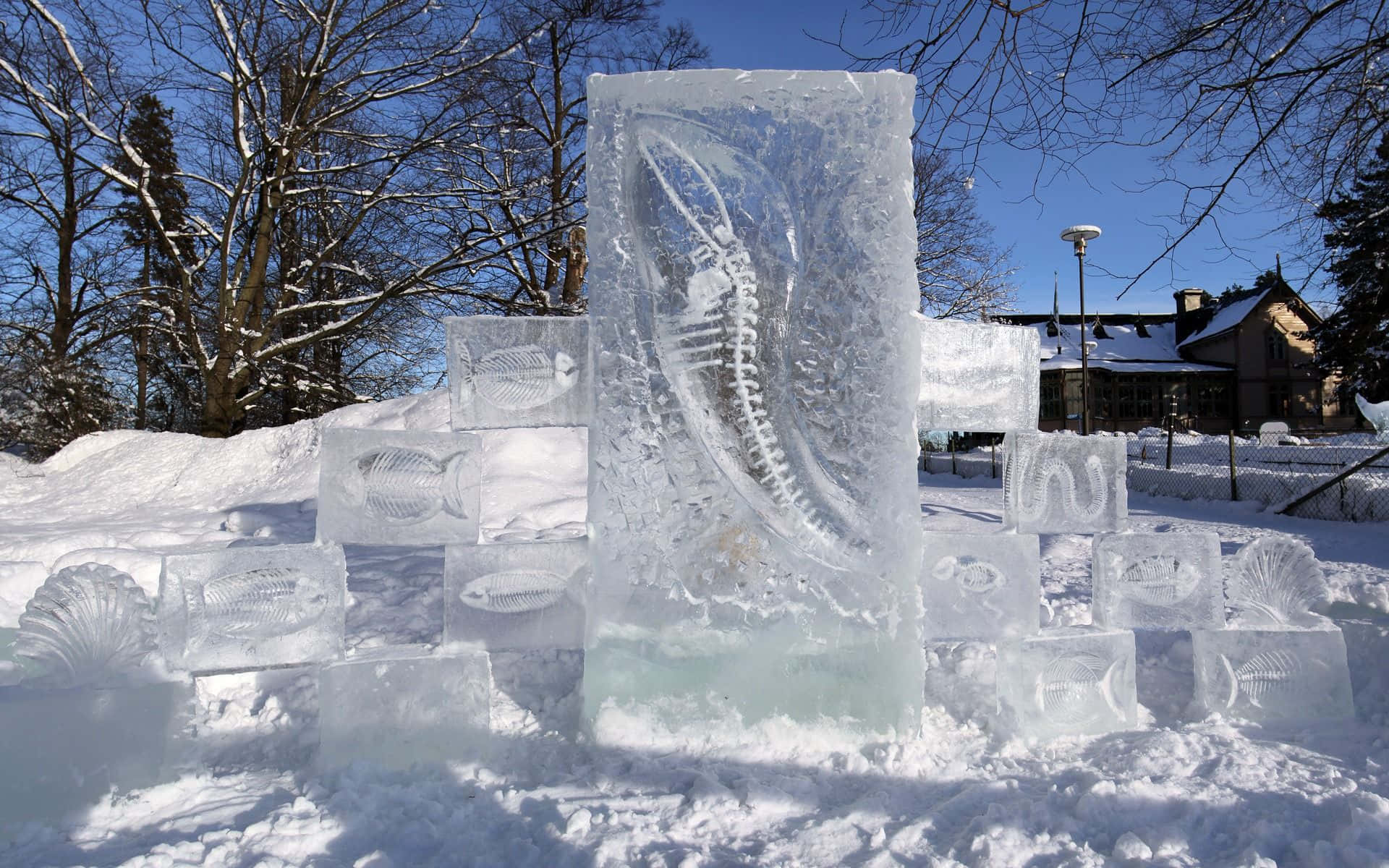 Stunning Ice Sculpture Reveals the Artistry of Frozen Water Wallpaper