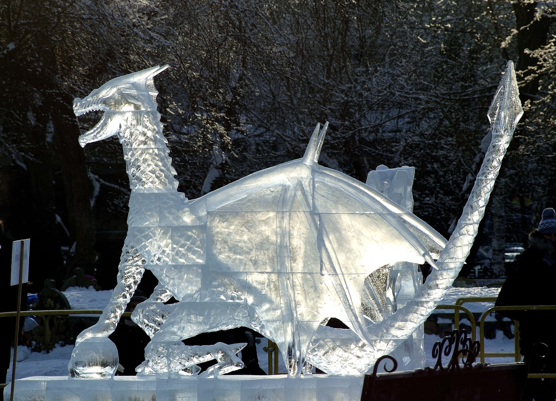 Captivating Ice Sculpture Swan Wallpaper