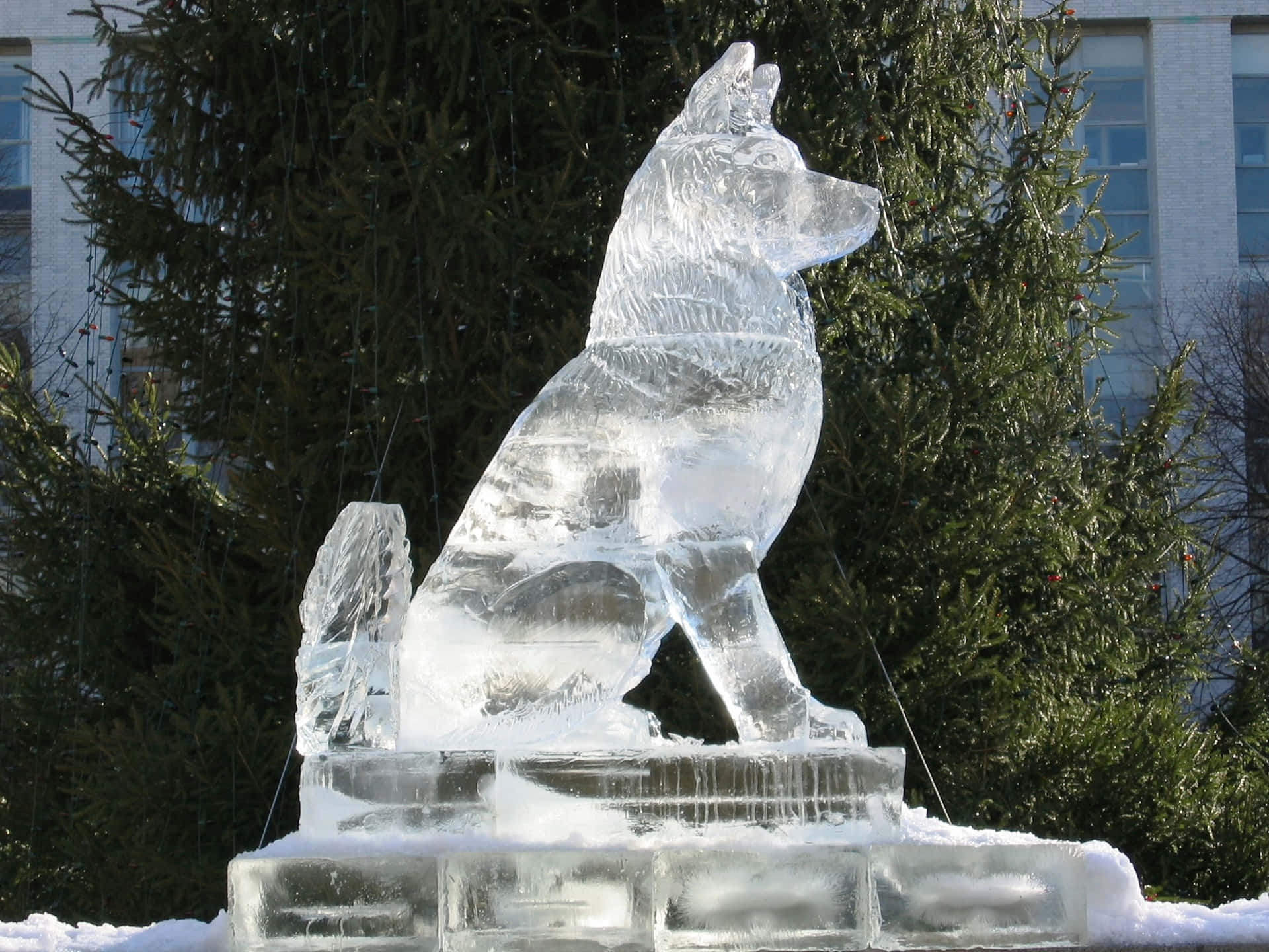 Majestic Ice Sculpture of a Soaring Eagle Wallpaper