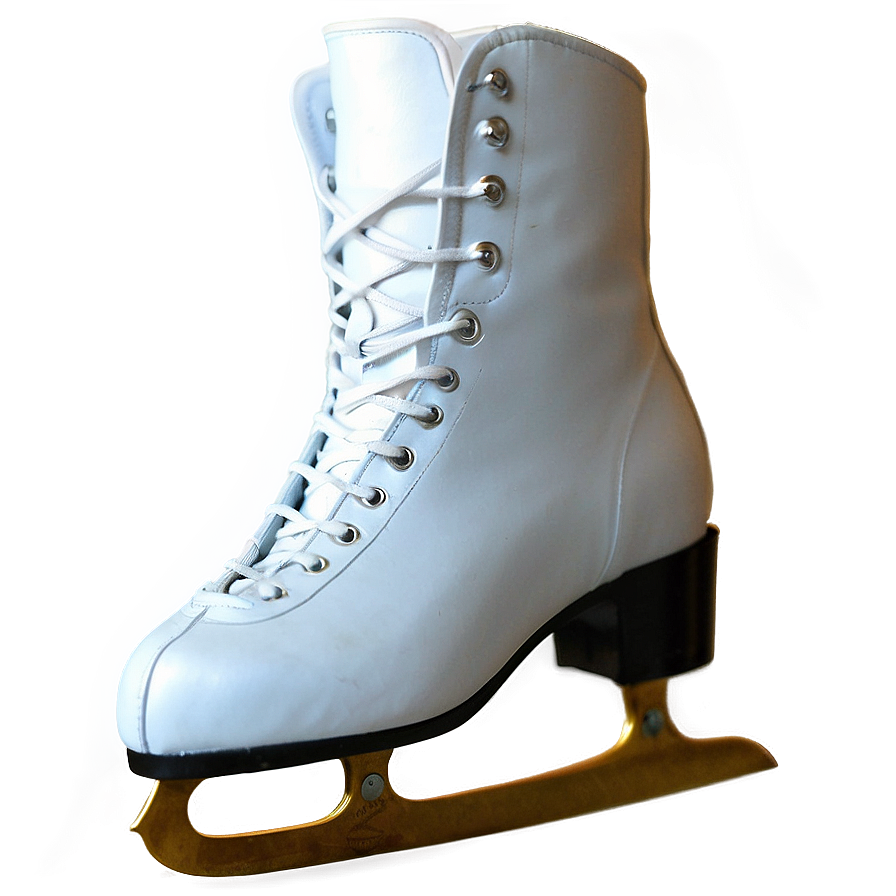 Ice Skating Party Png Qou16 PNG