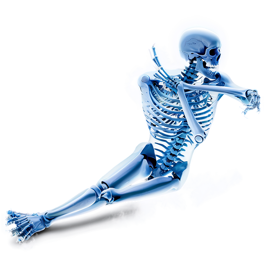 Ice Skeleton Png Pcl PNG