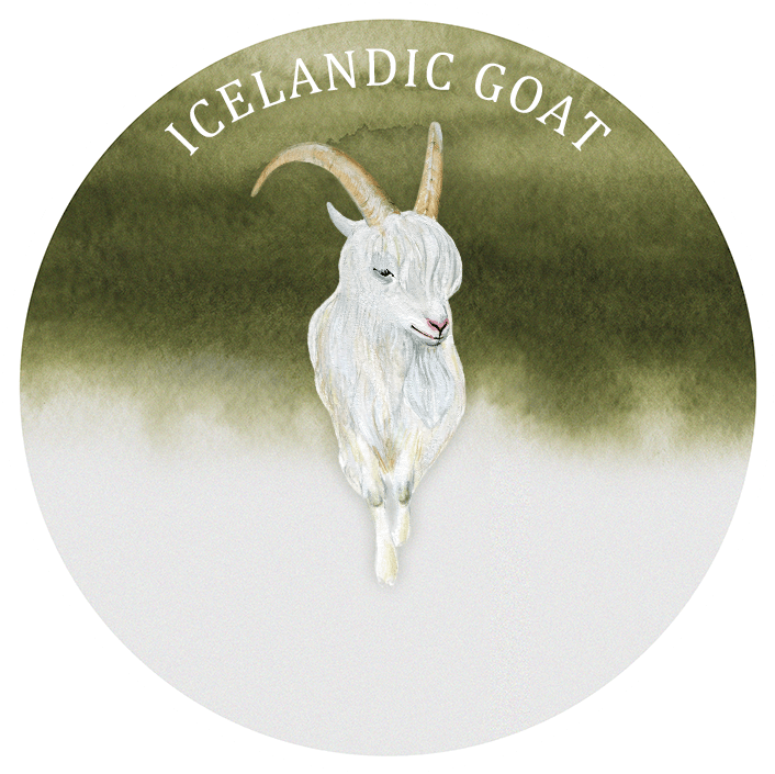 Icelandic Goat Illustration PNG