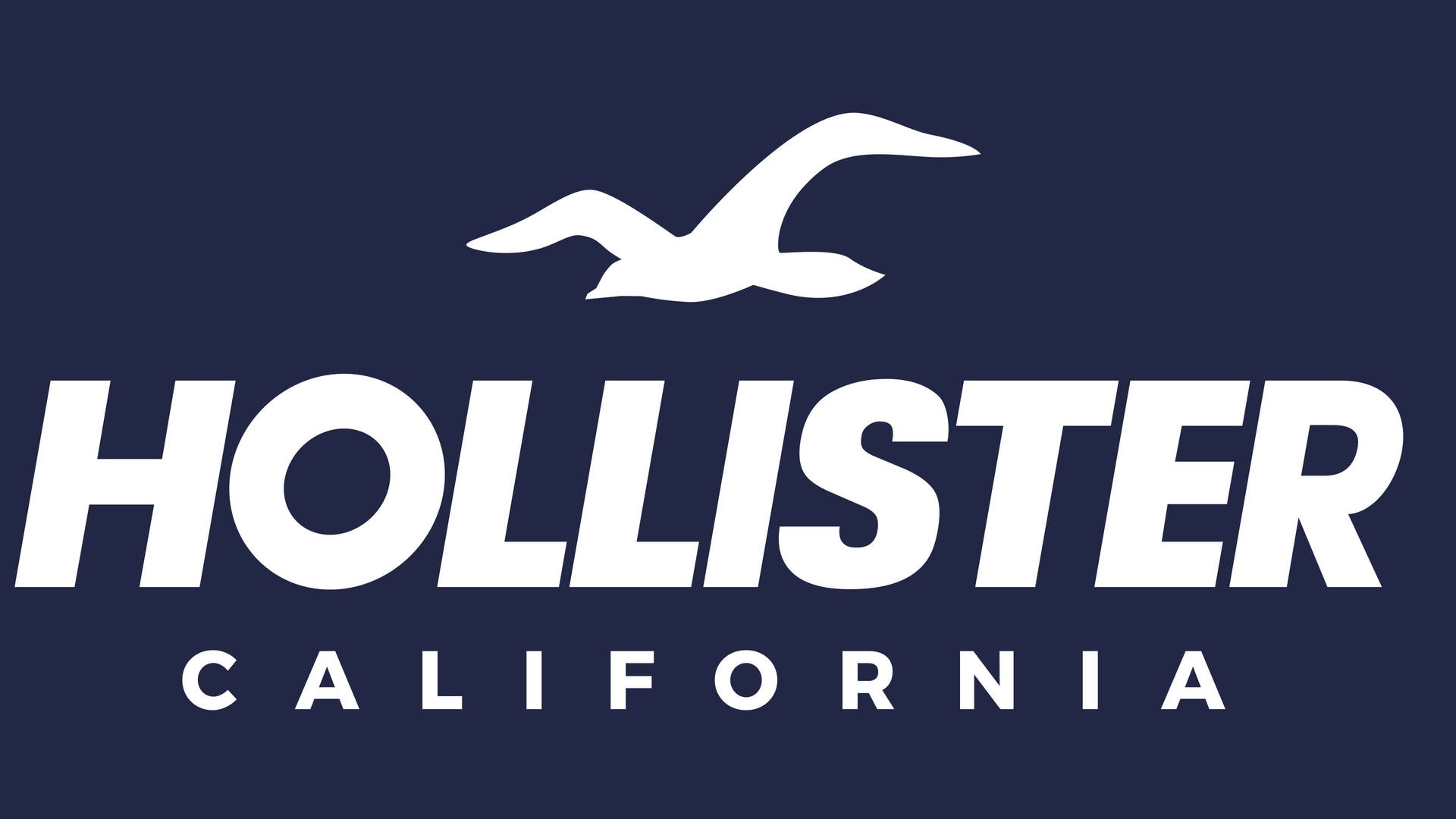 Iconic Hollister Seagull Logo Wallpaper