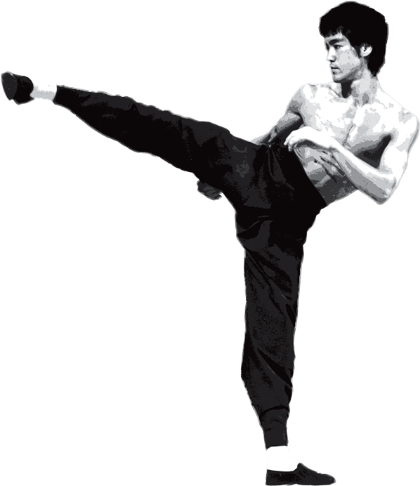 Iconic Martial Artist High Kick PNG
