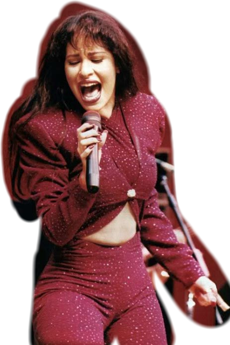 Iconic Performance Singer Stage Outfit PNG