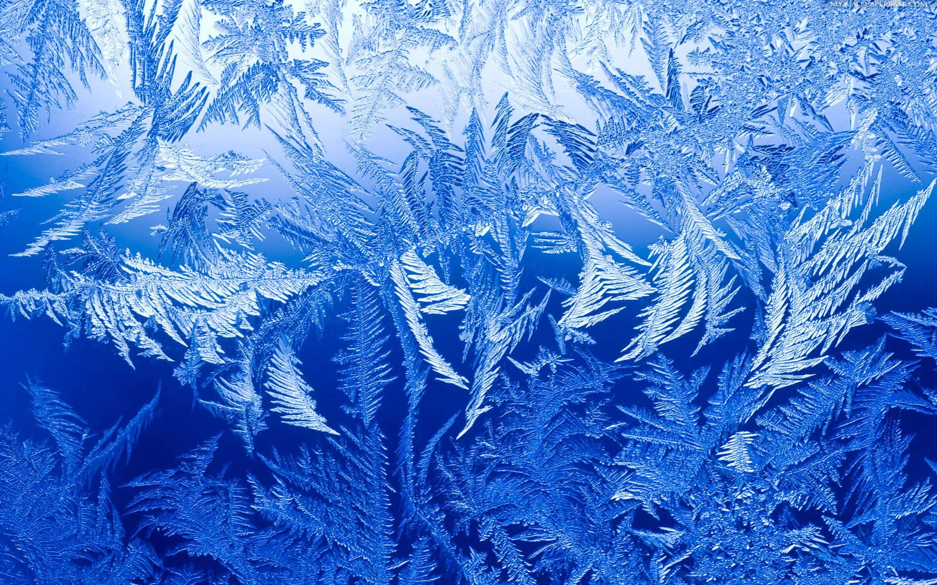 A Blue Background With Ice Crystals On It