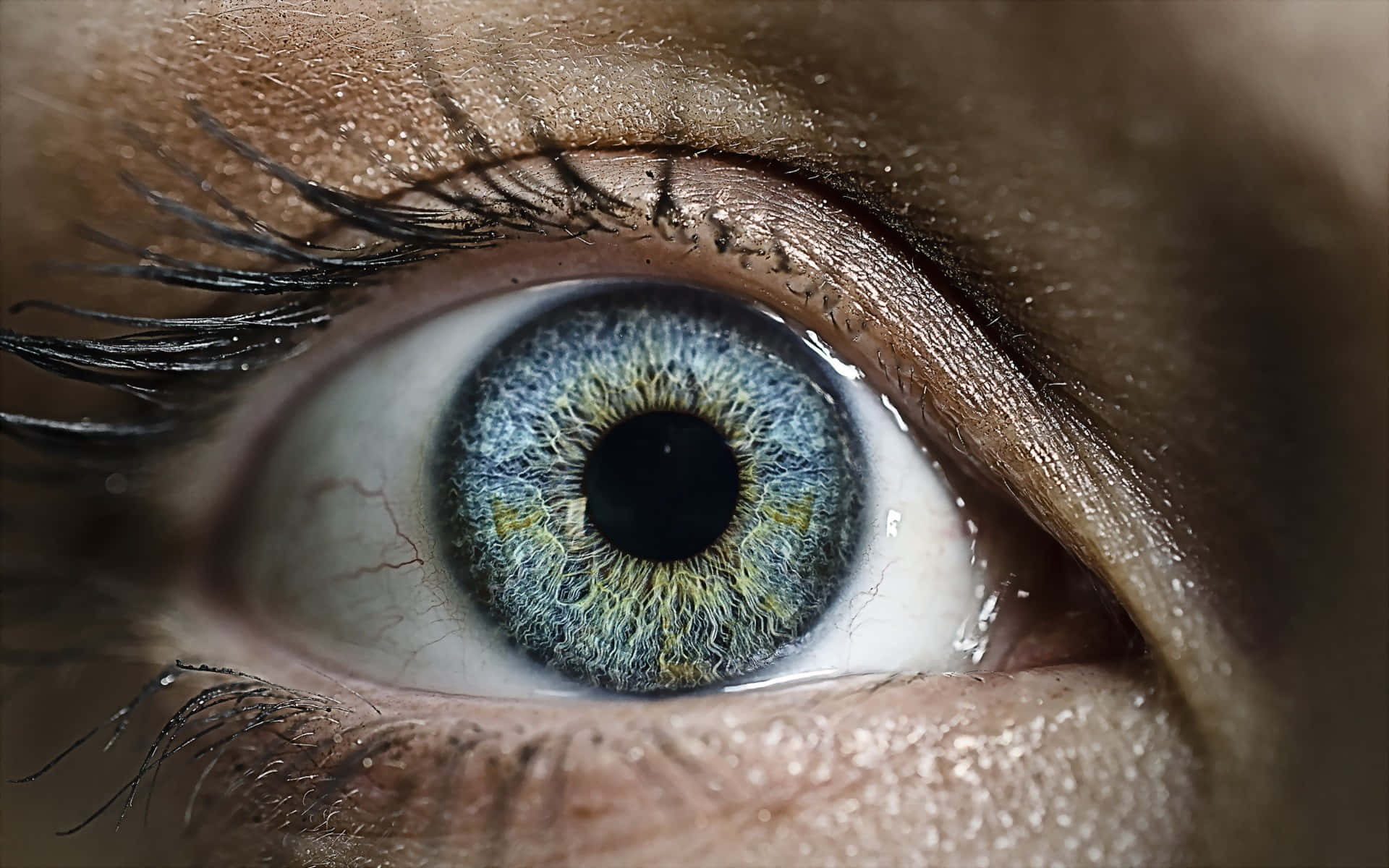 Closeupdo Olho Azul Gelado Papel de Parede