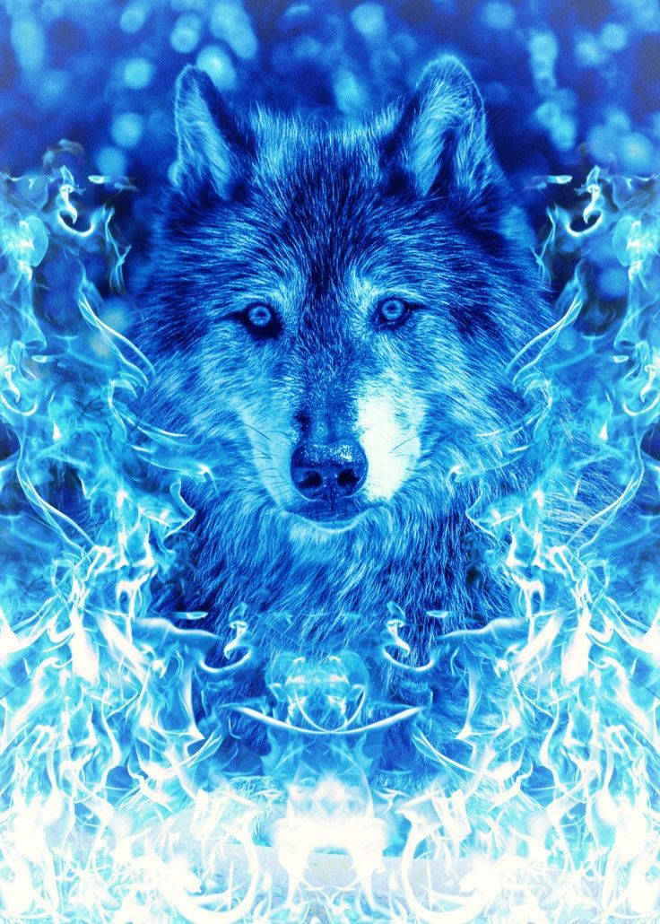 Icy Flame Blue Wolf Wallpaper