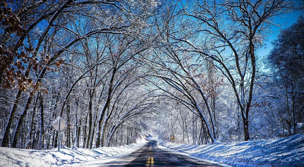 Dangerously beautiful icy road Wallpaper