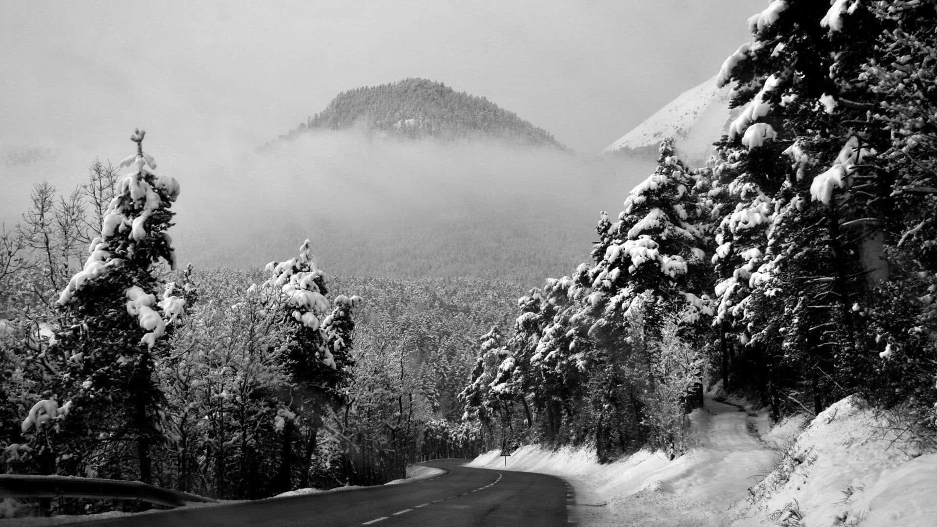 Icy Road through a Snowy Landscape Wallpaper