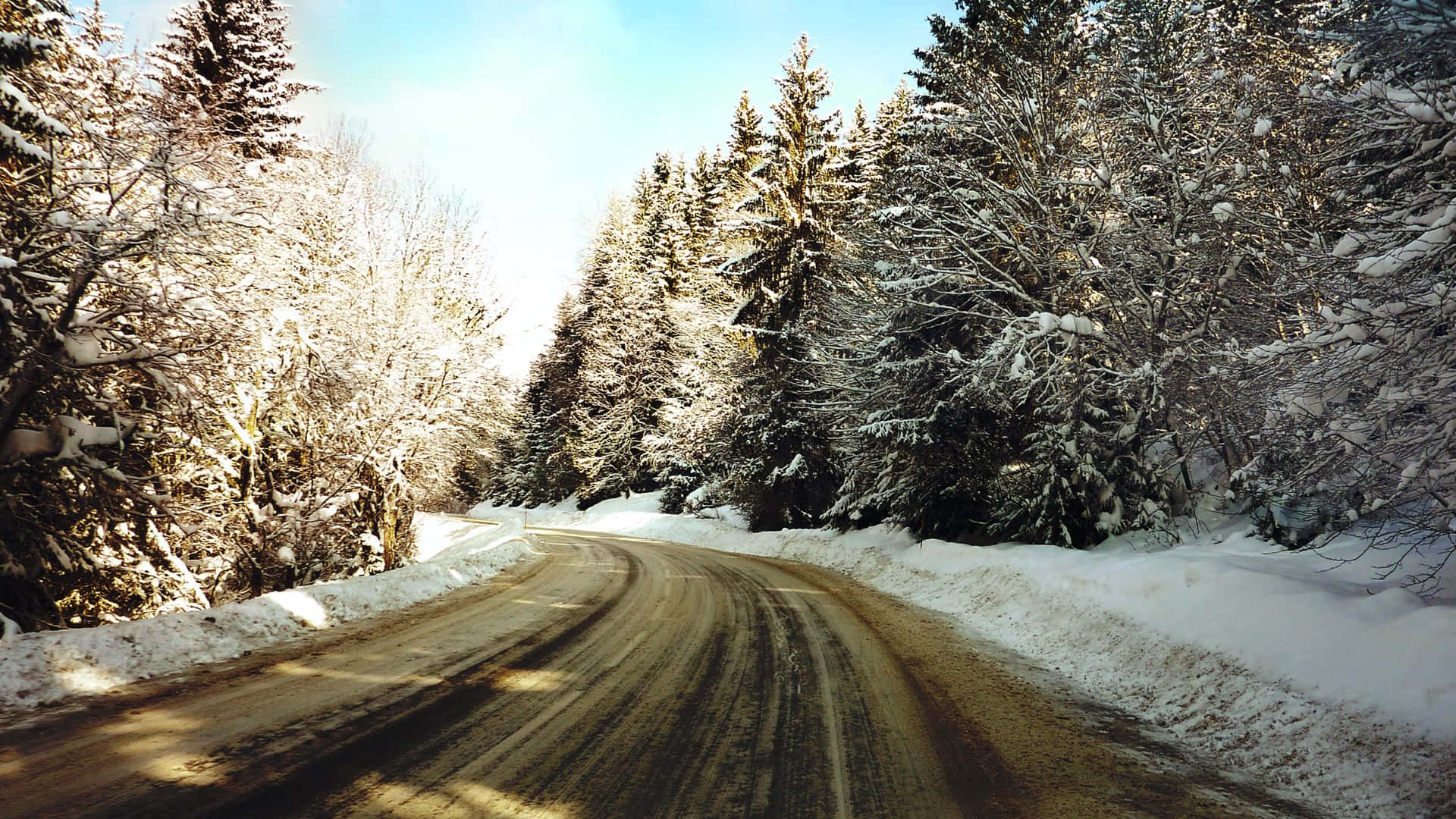 Icy Road Surrounded by Snow-Covered Trees Wallpaper