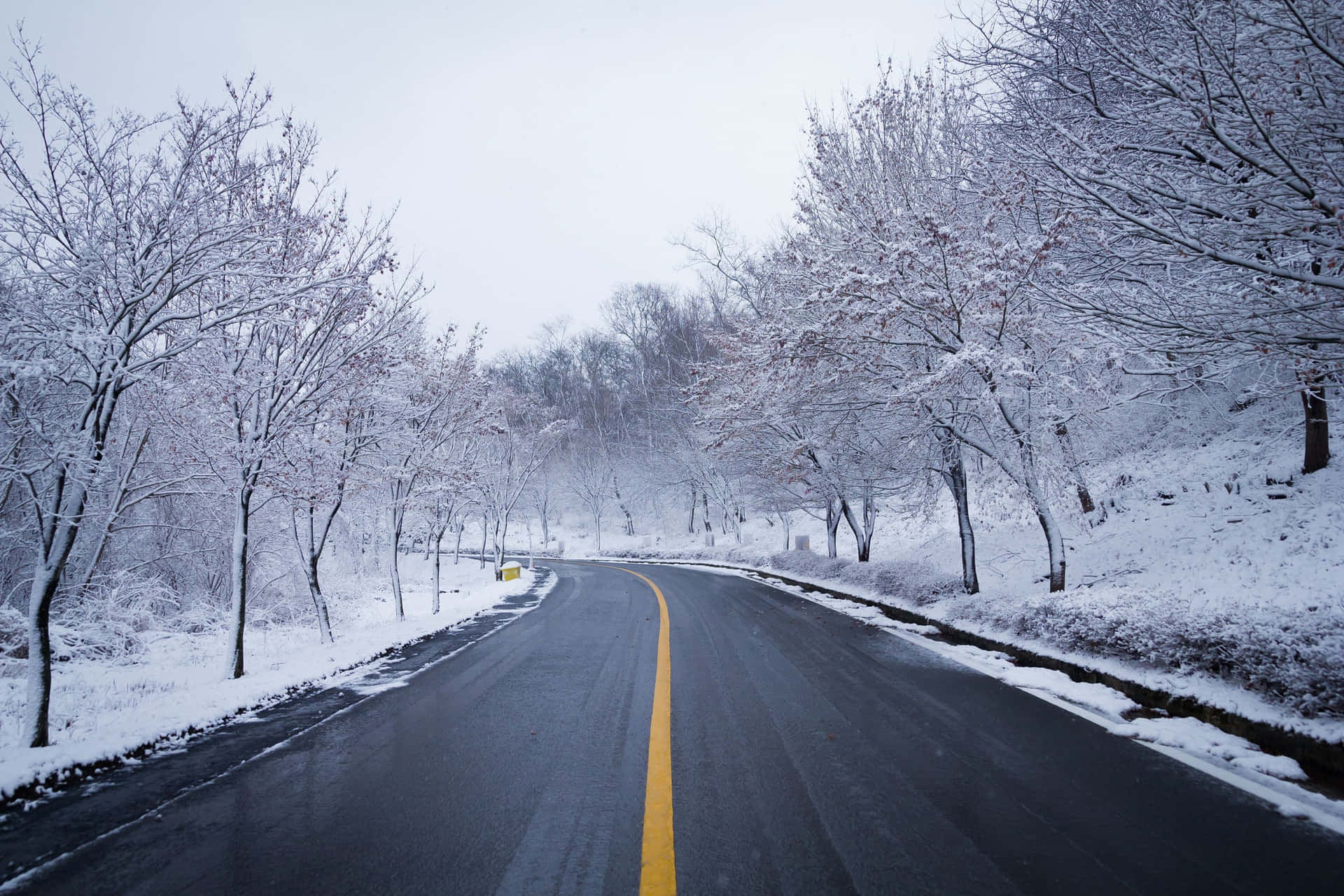 Route Glacée Dangereuse En Hiver Fond d'écran