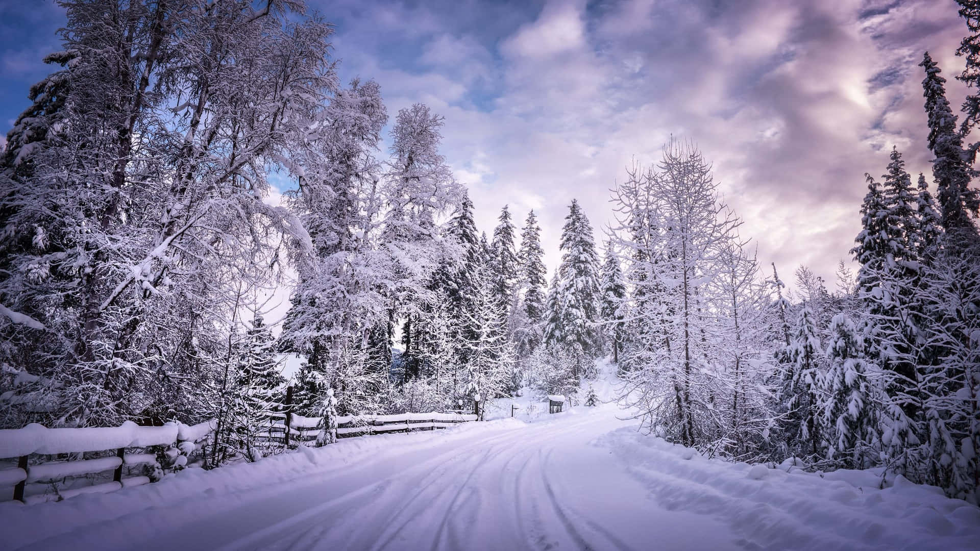 Caminohelado En Paisaje De Invierno Fondo de pantalla