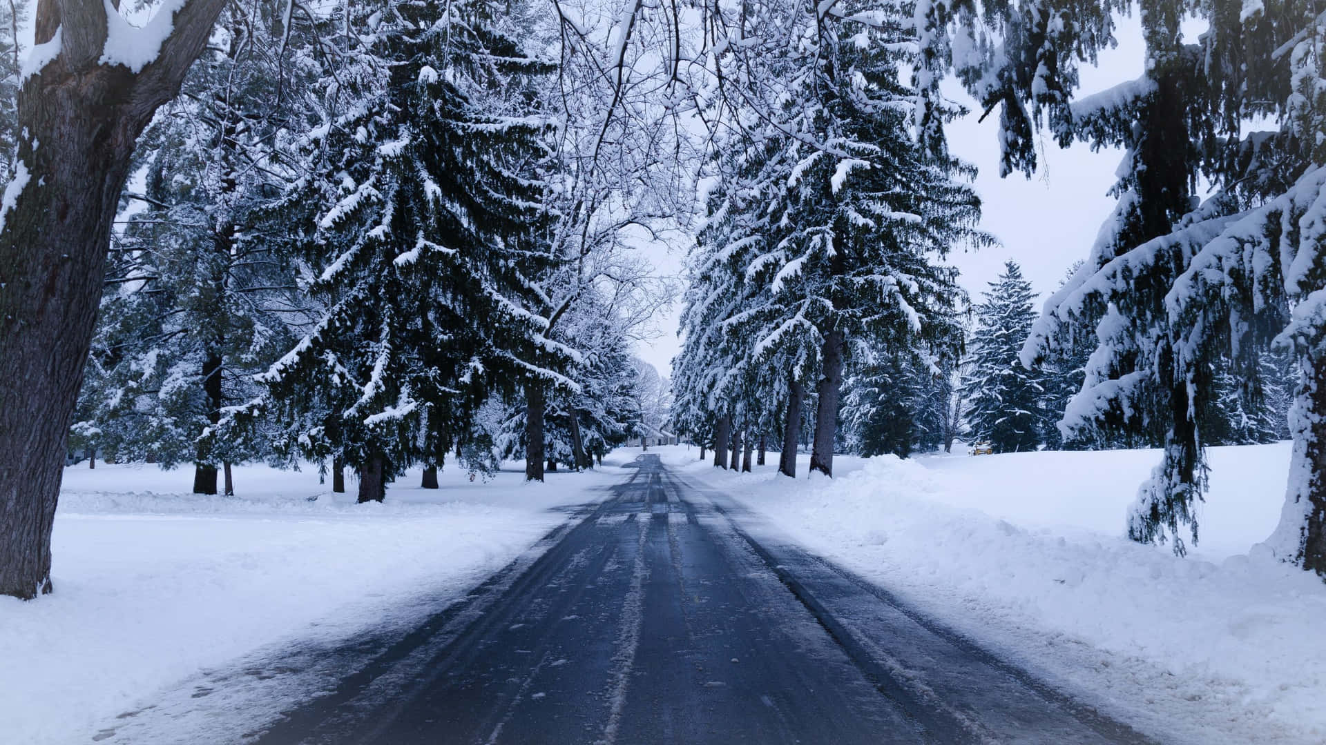 Icy winter road surrounded by snow-covered trees Wallpaper
