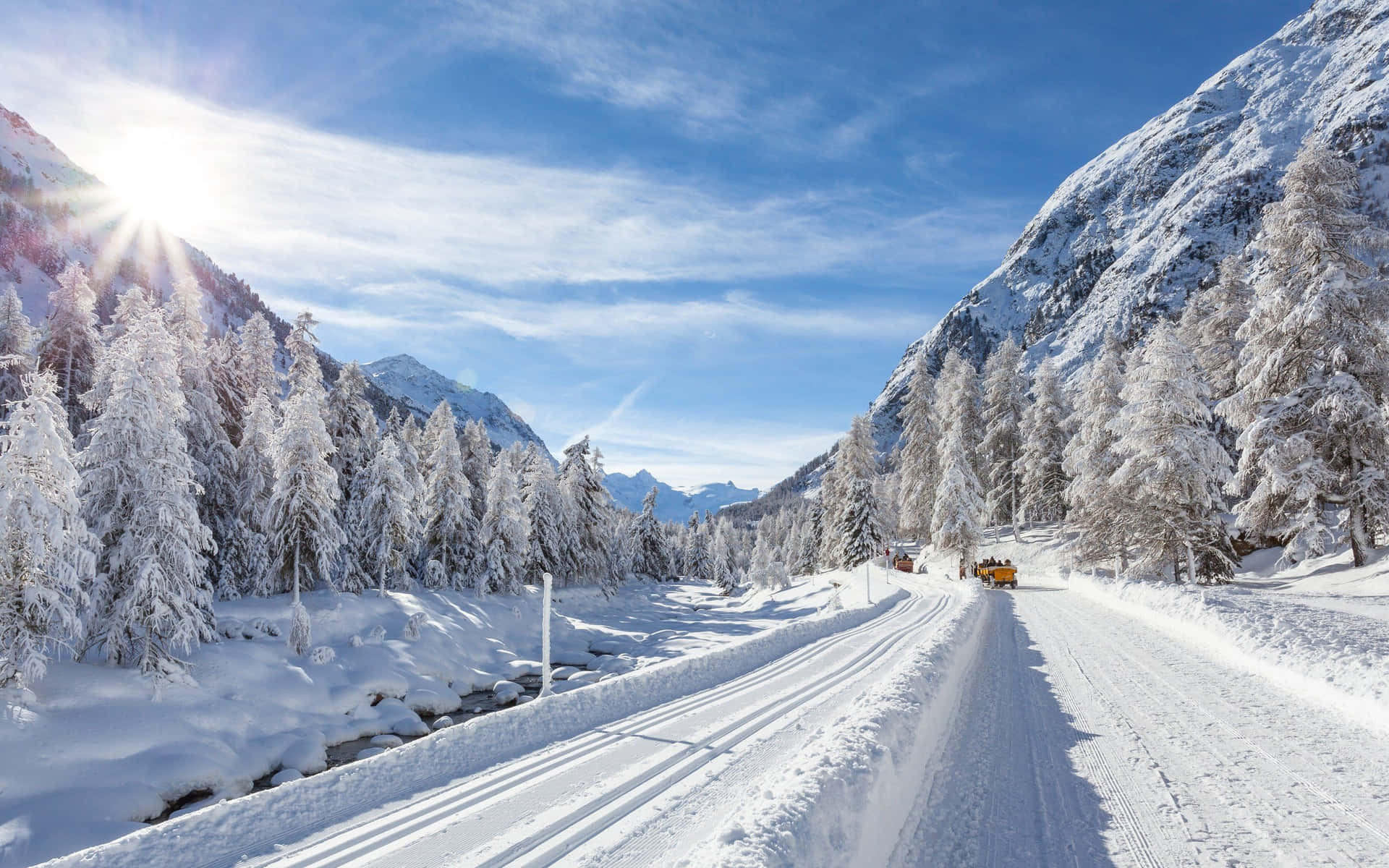 Caminotranquilo Y Helado Rodeado De Árboles Cubiertos De Nieve. Fondo de pantalla