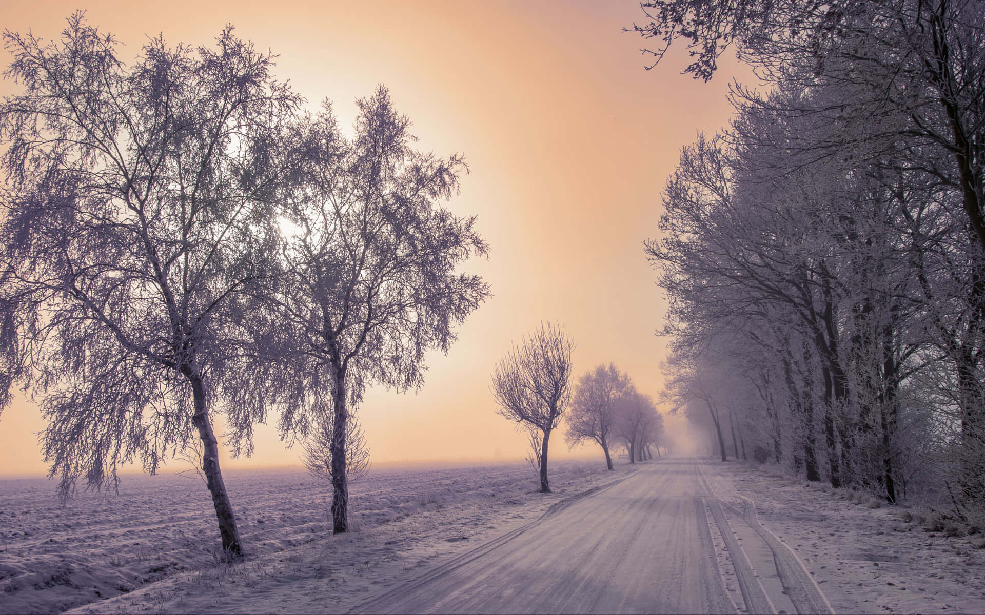 Slippery Icy Road Leading Through a Picturesque Snowy Landscape Wallpaper