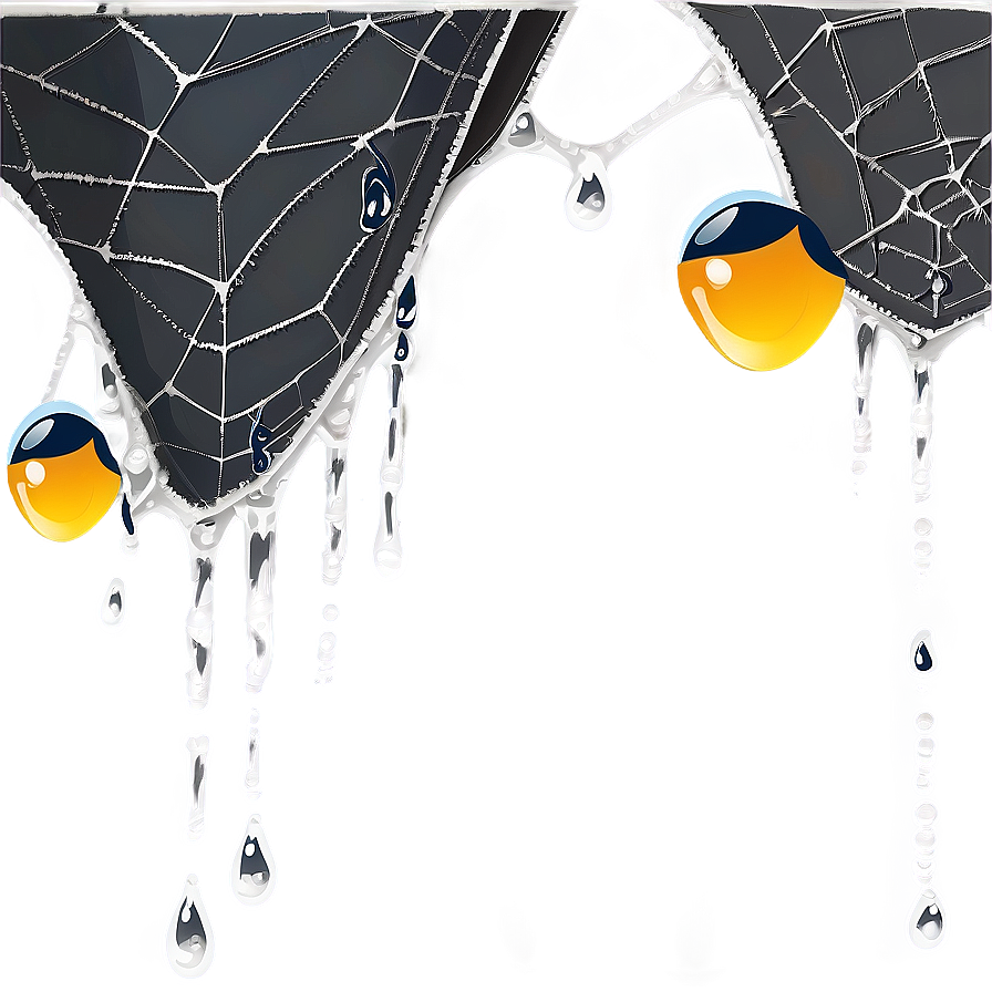 Icy Spider Webwith Dew Dropsand Birds PNG
