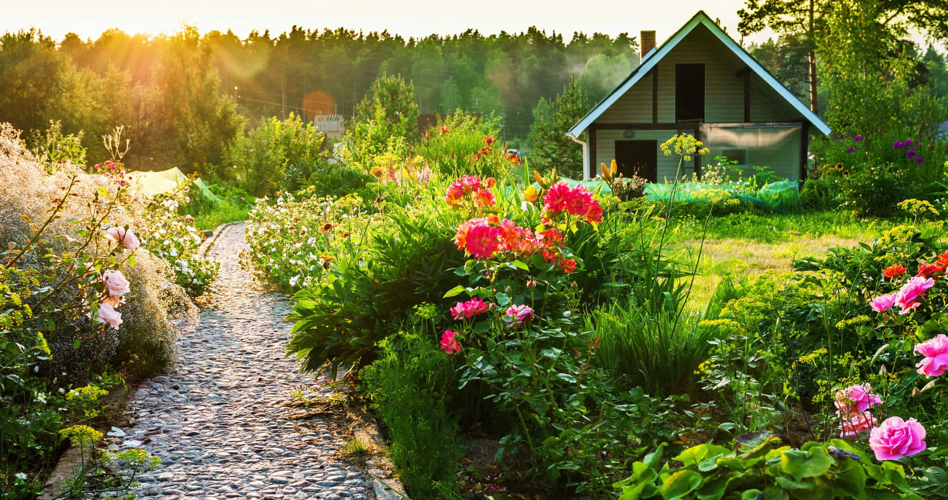 Idyllic Cottage Garden Path Sunset Wallpaper