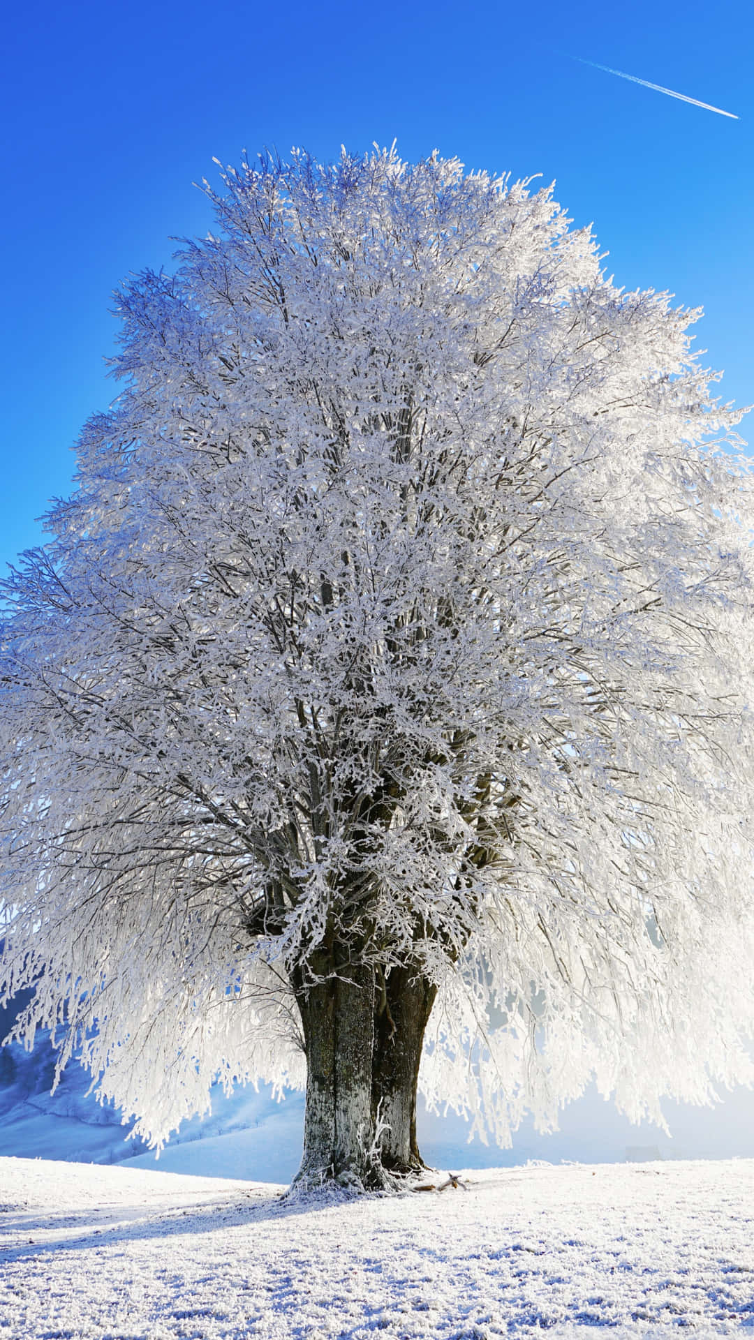 Idyllic Snow Tree Wallpaper