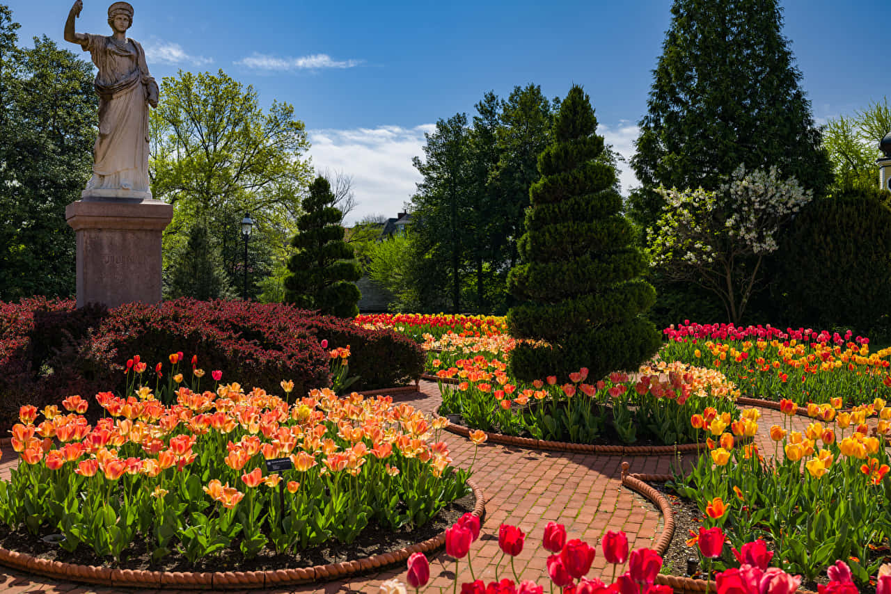 Download Idyllic Victorian Garden In Full Bloom Wallpaper | Wallpapers.com