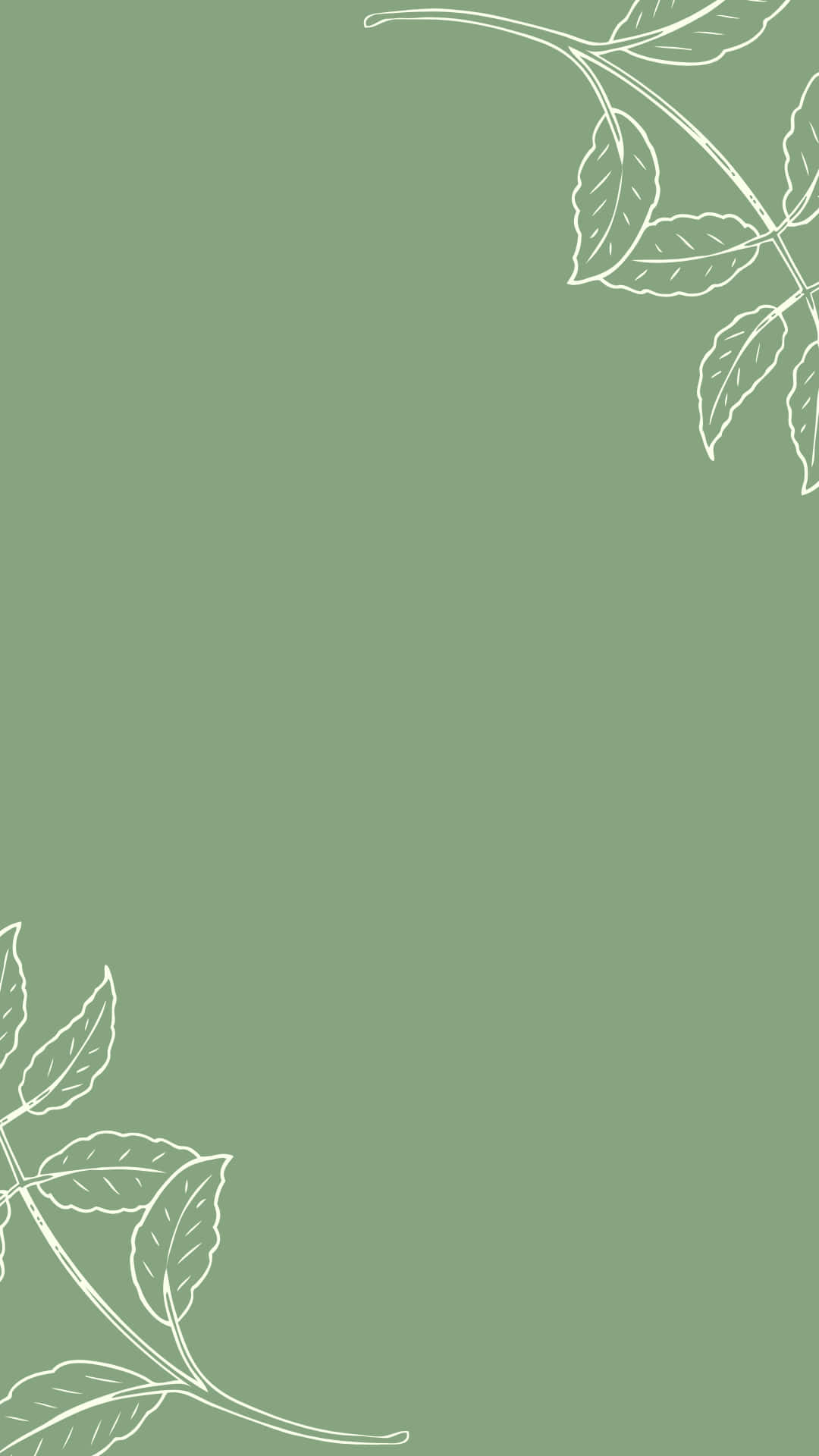 Igstory Hintergrund Doodle Von Pflanzen Mit Einem Grünen Hintergrund