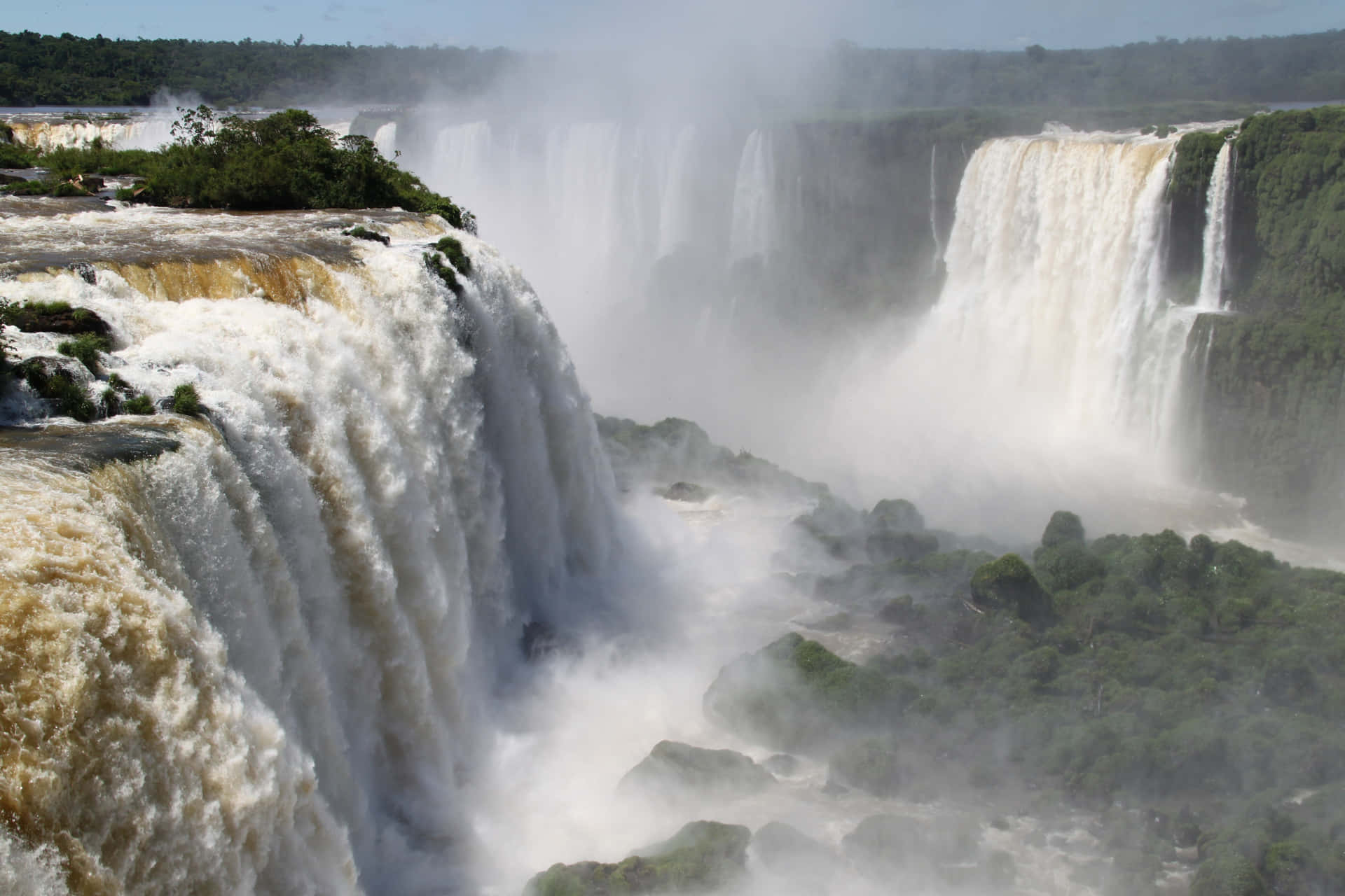 Iguazufallen Hem Till Utrotningshotade Djur. Wallpaper
