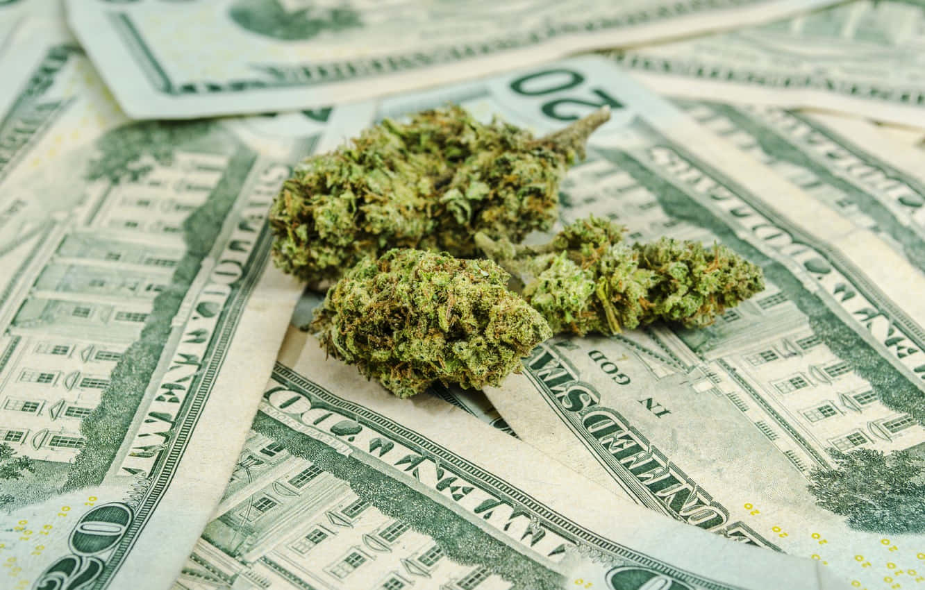 Illicit Cannabis Money Wallpaper