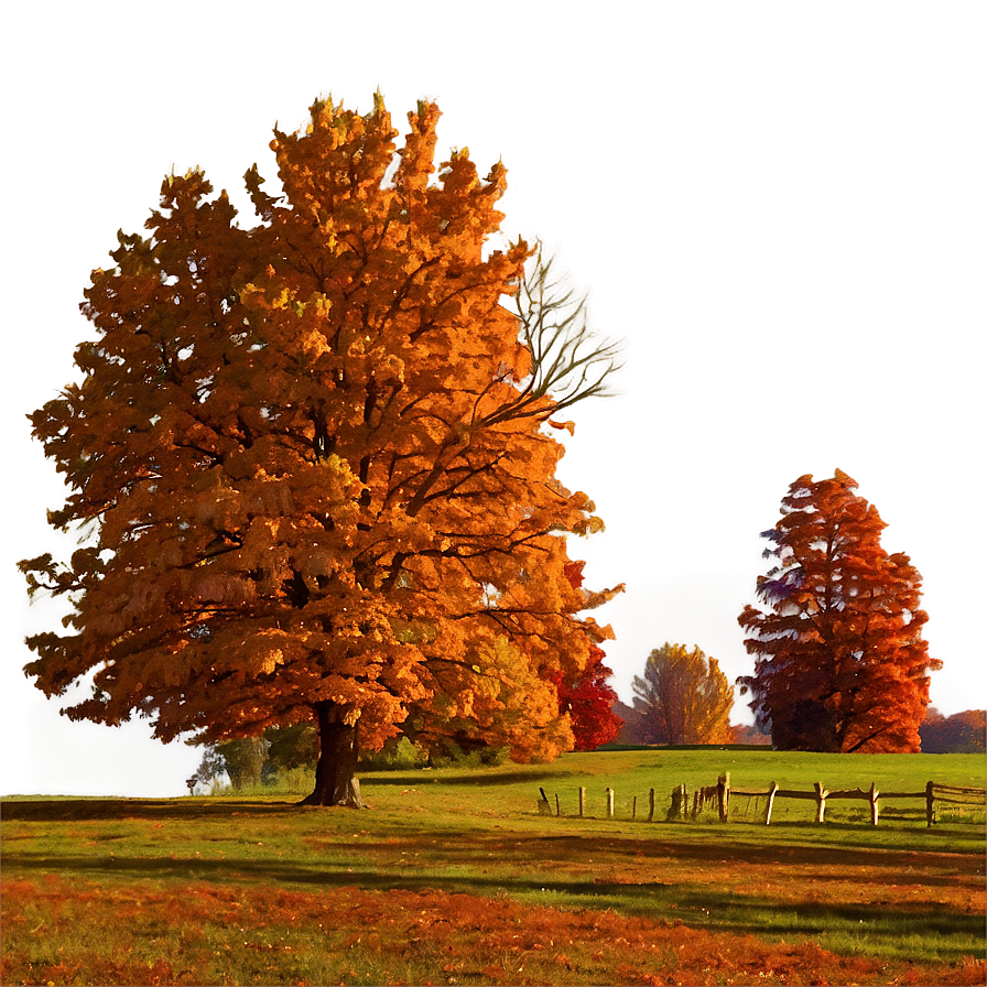 Illinois Autumn Landscape Png Raj13 PNG