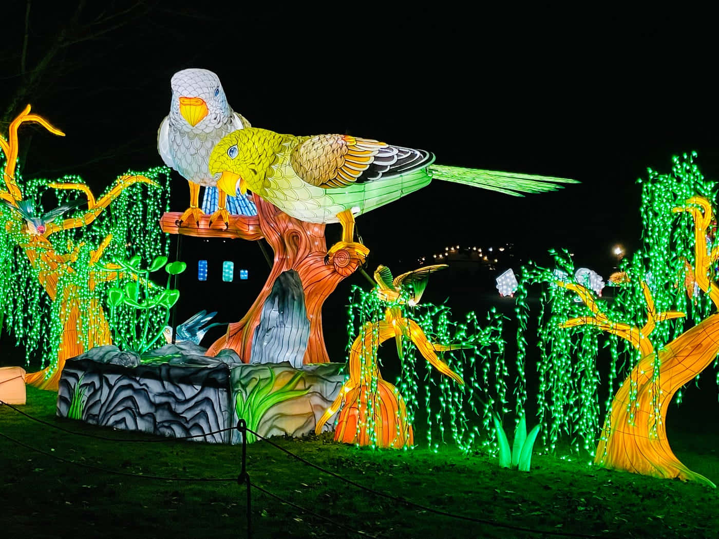 Illuminated Bird Sculpturesat Night Wallpaper