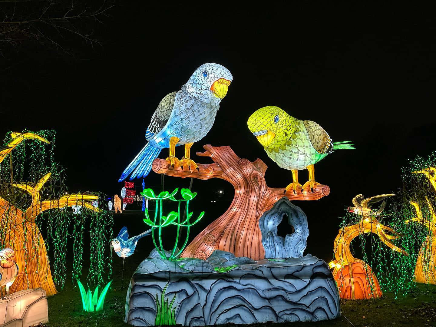 Illuminated Bird Sculpturesat Night Wallpaper