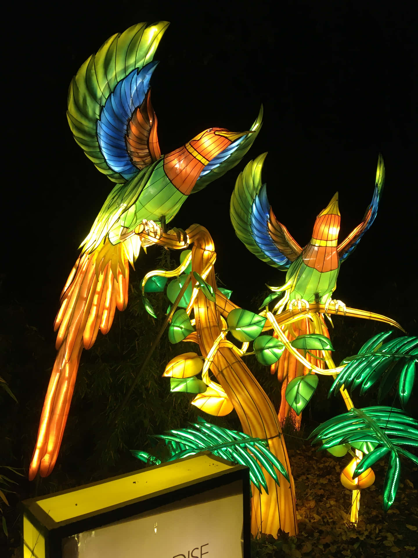 Illuminated Bird Sculpturesat Night Wallpaper