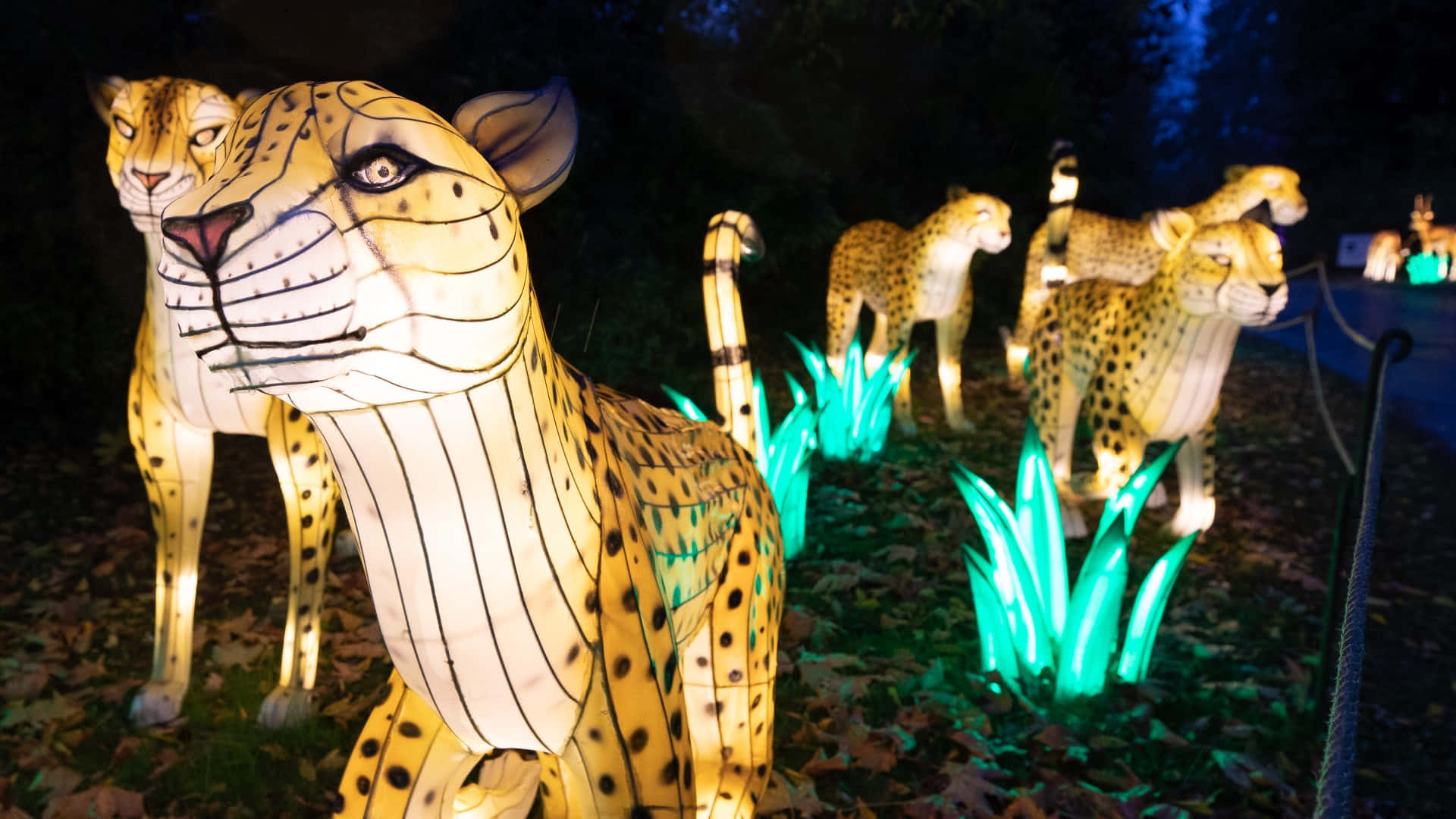 Illuminated Cheetah Sculpturesat Night Wallpaper