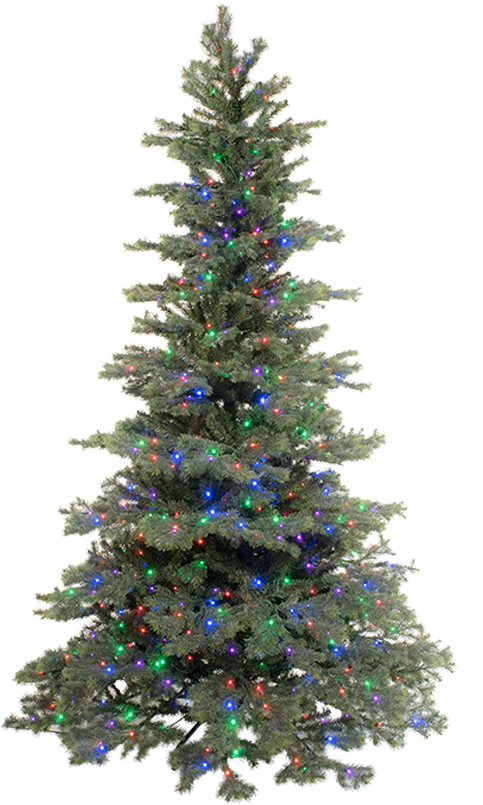 Illuminated Christmas Tree.png PNG