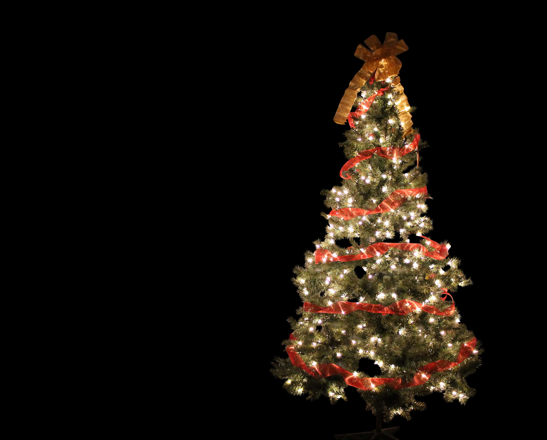 Illuminated Christmas Treewith Golden Bow PNG