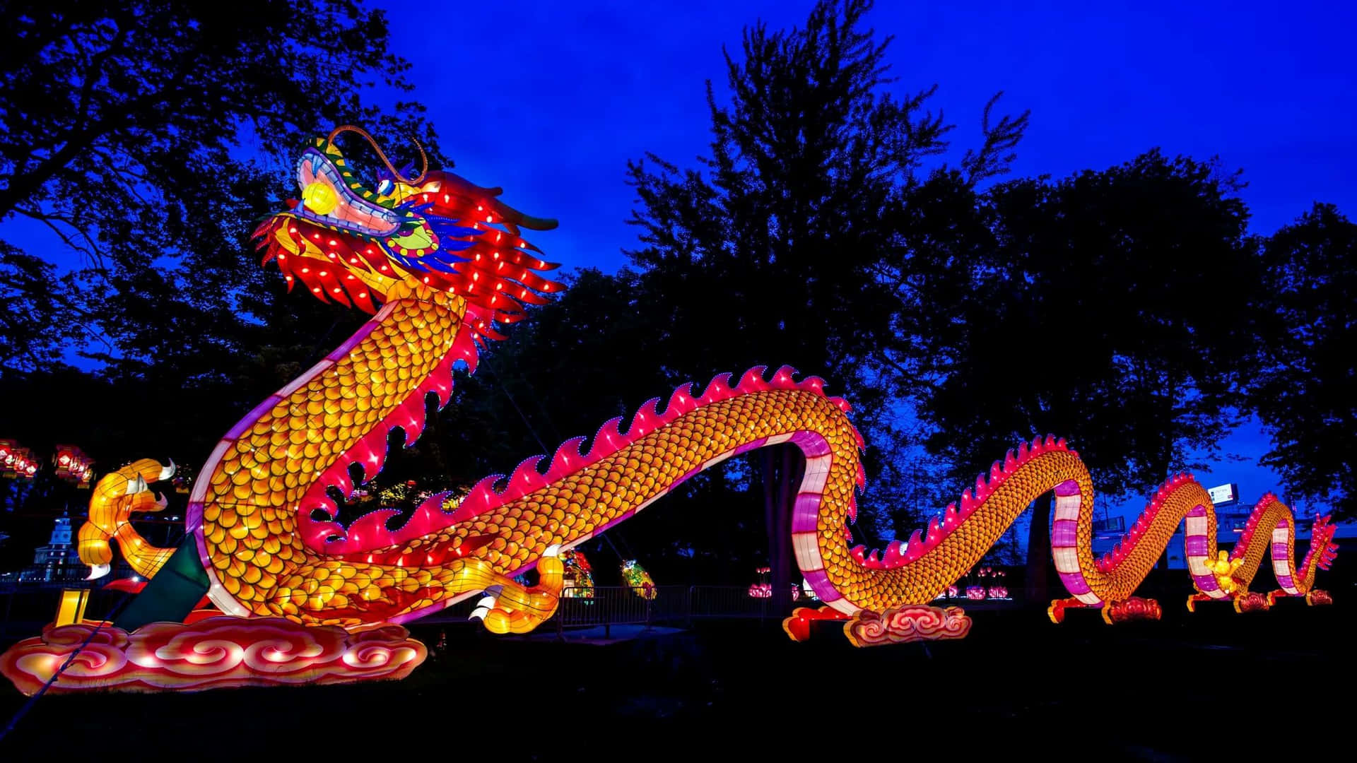 Illuminated Dragon Lantern Woodland Park Zoo Wallpaper