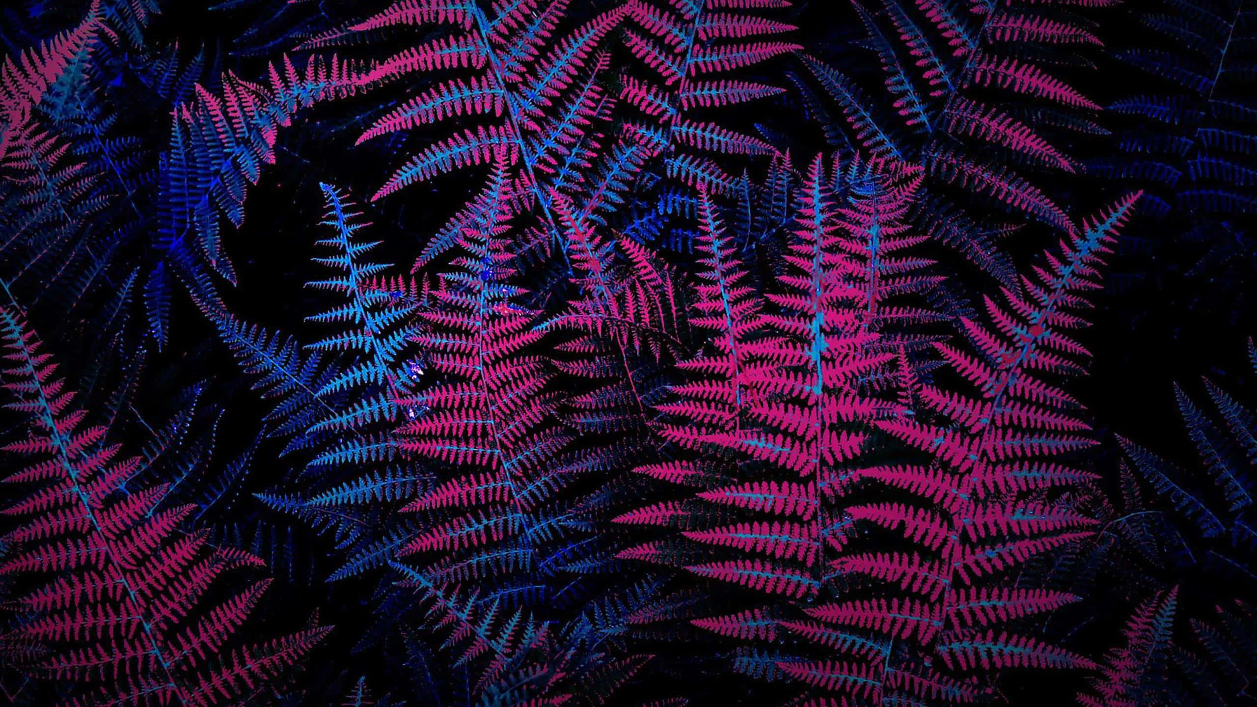 Illuminated Neon Plants In Vibrant Colors Wallpaper