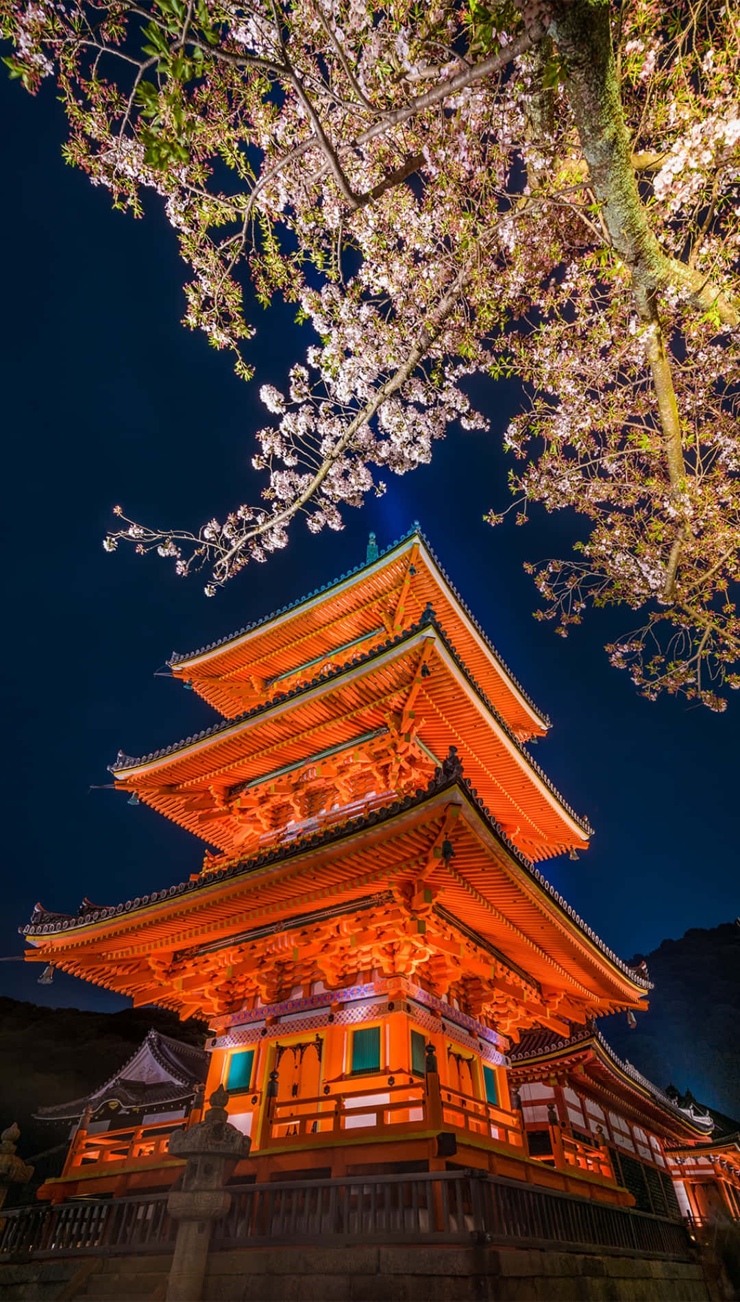 Illuminated_ Pagoda_with_ Cherry_ Blossoms_ Night_ Scene Wallpaper