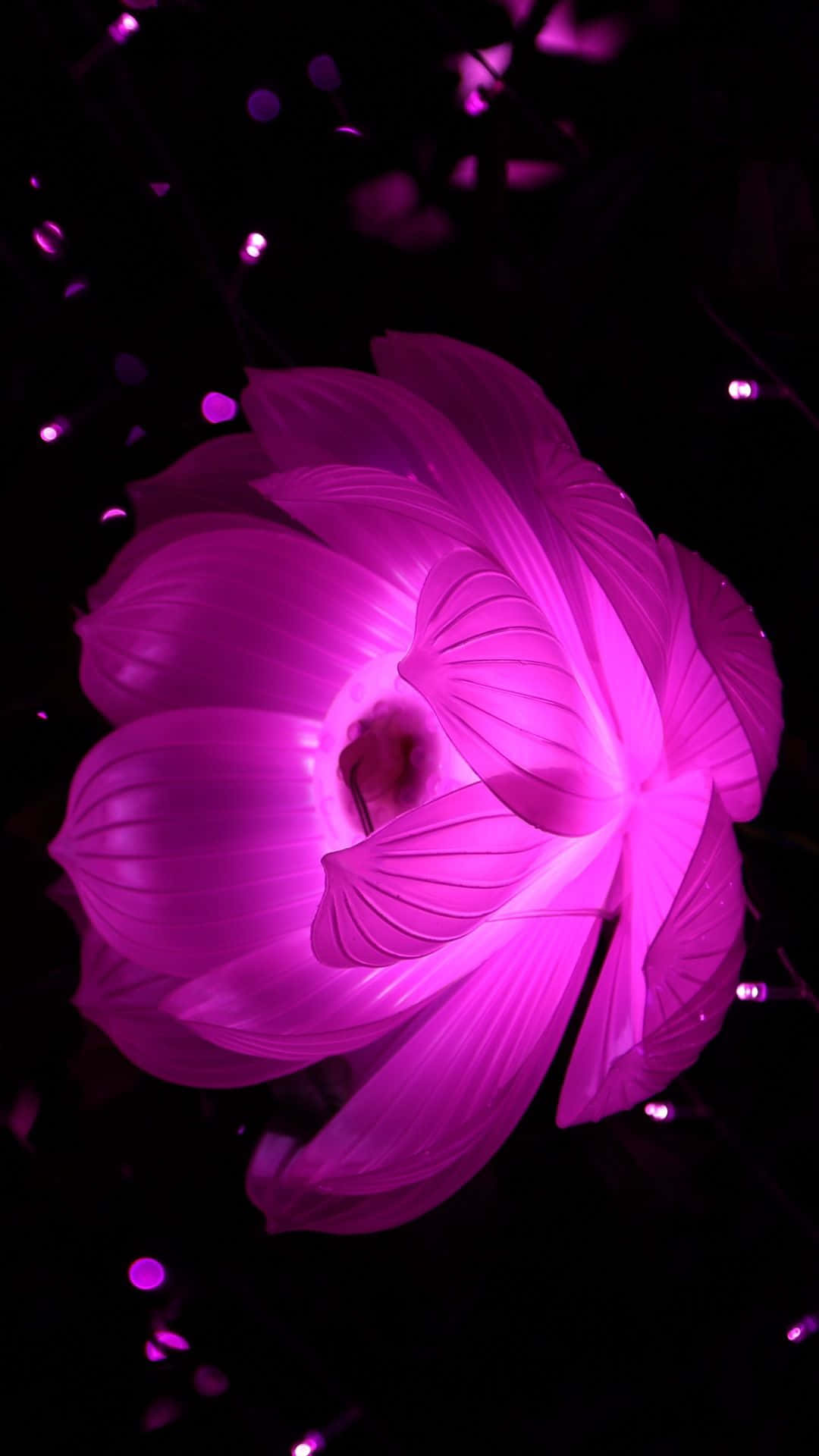 Illuminated Purple Flower Night Wallpaper
