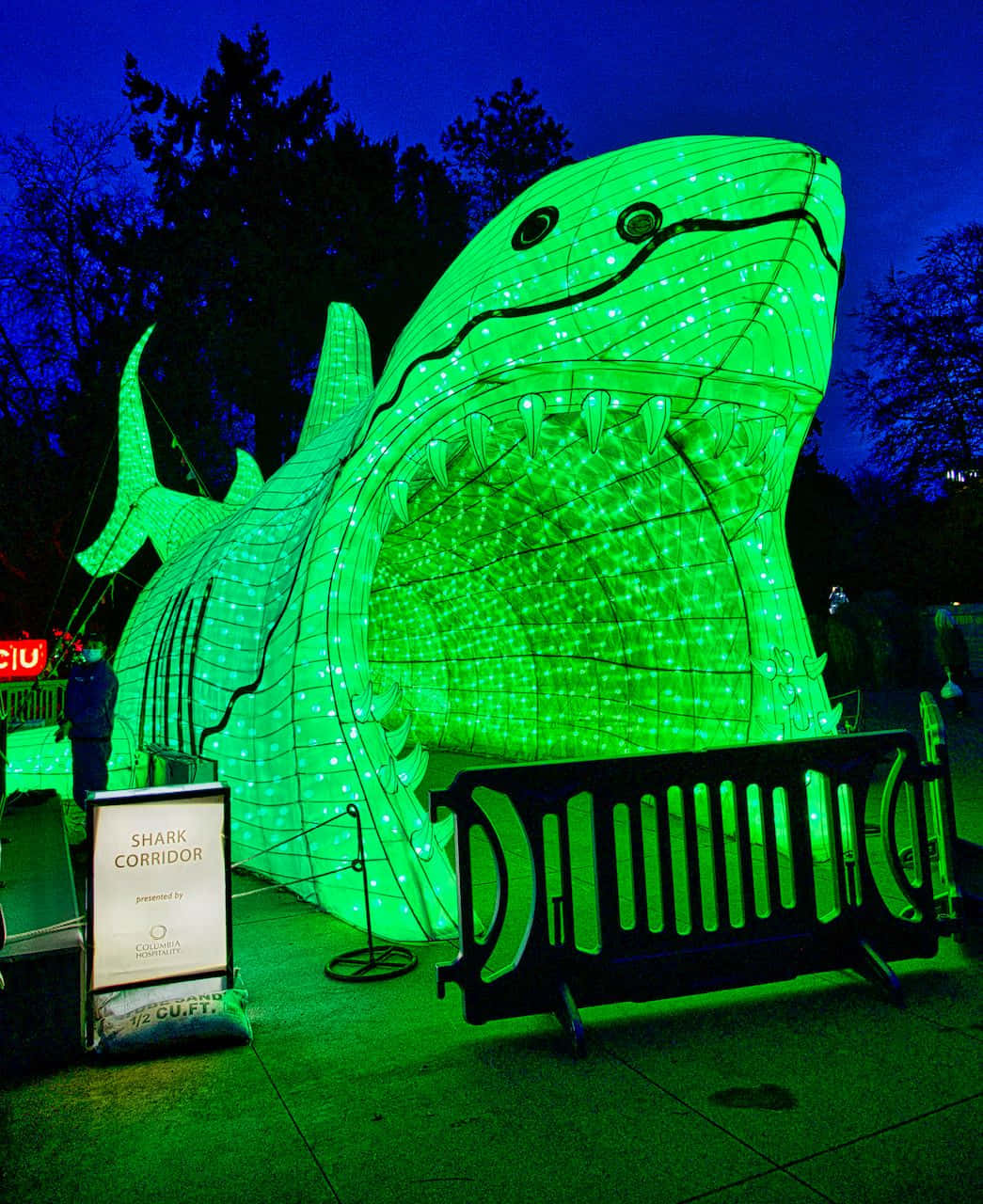 Illuminated Shark Installationat Night Wallpaper