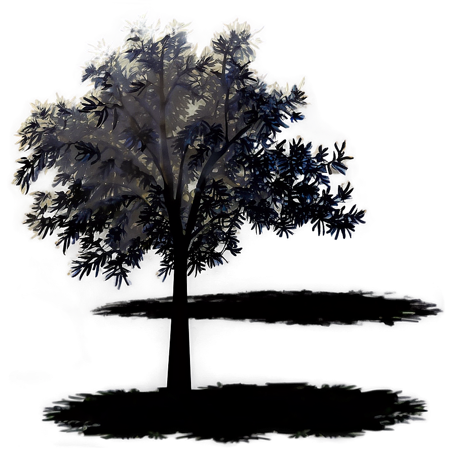 Illuminated Tree Shadow Png Cjl PNG
