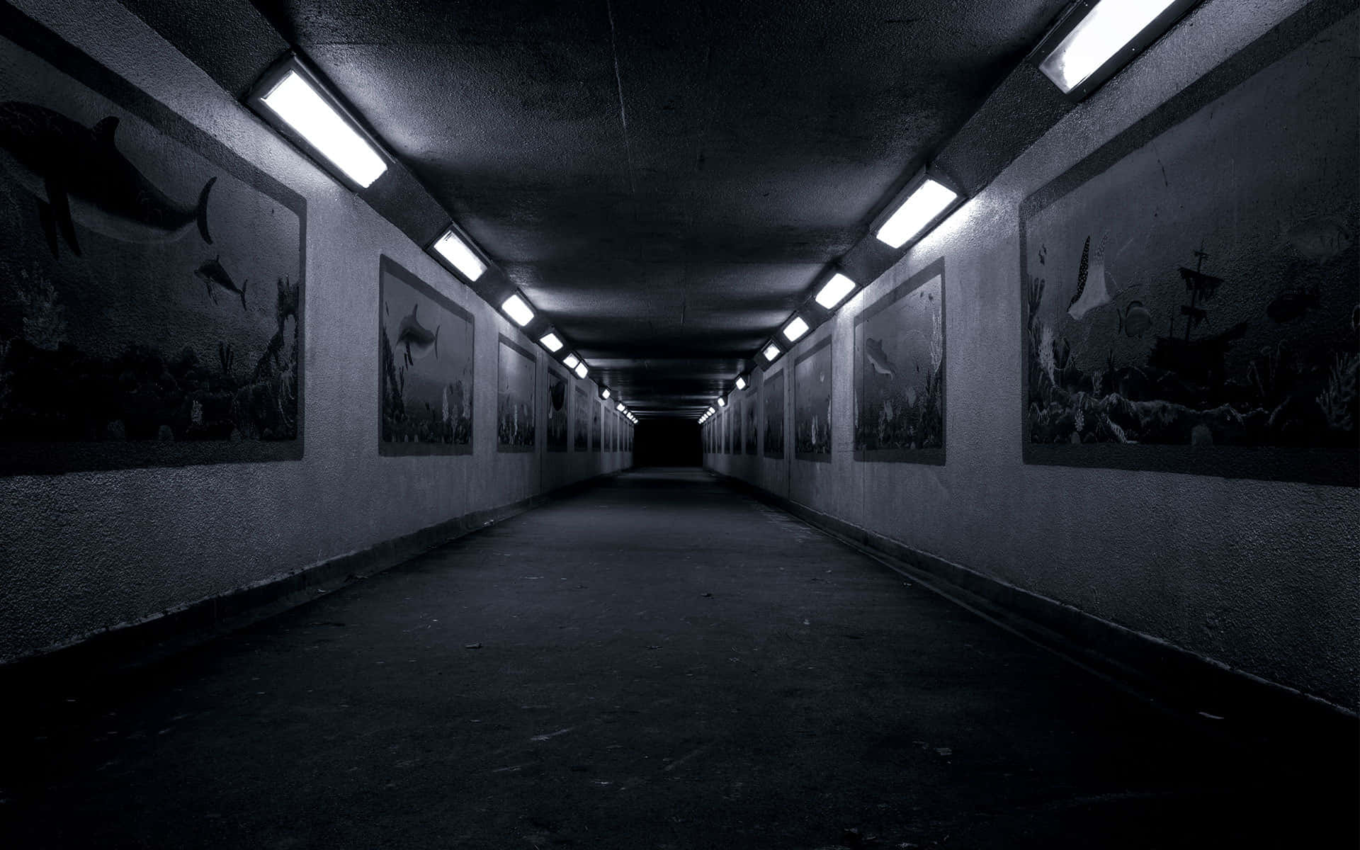 Illuminated Underground Passage Wallpaper