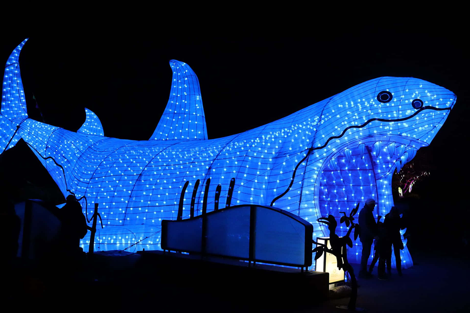 Illuminated Whale Sculptureat Night Wallpaper