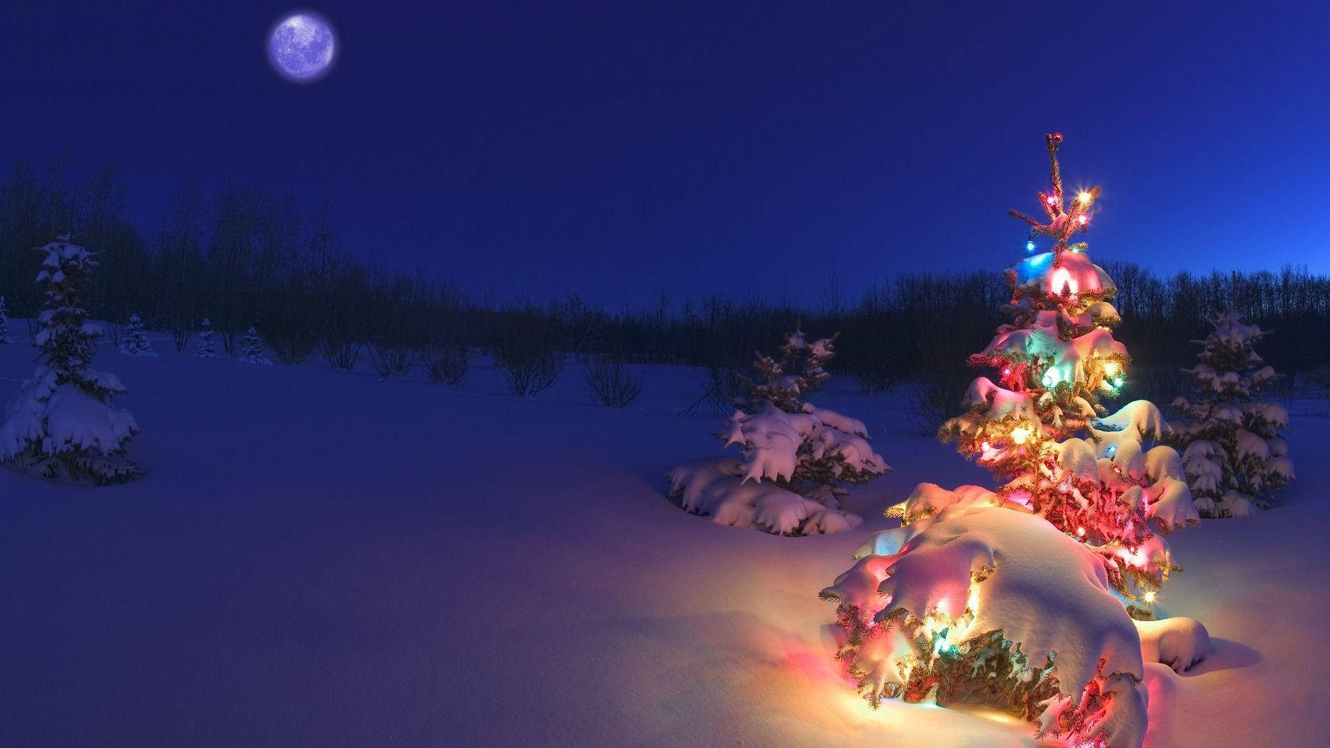 Illuminating Festive Christmas Tree Landscape Wallpaper
