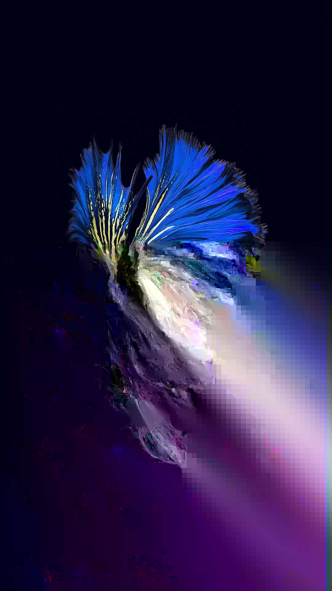 Leuchtenderfisch Iphone Wallpaper