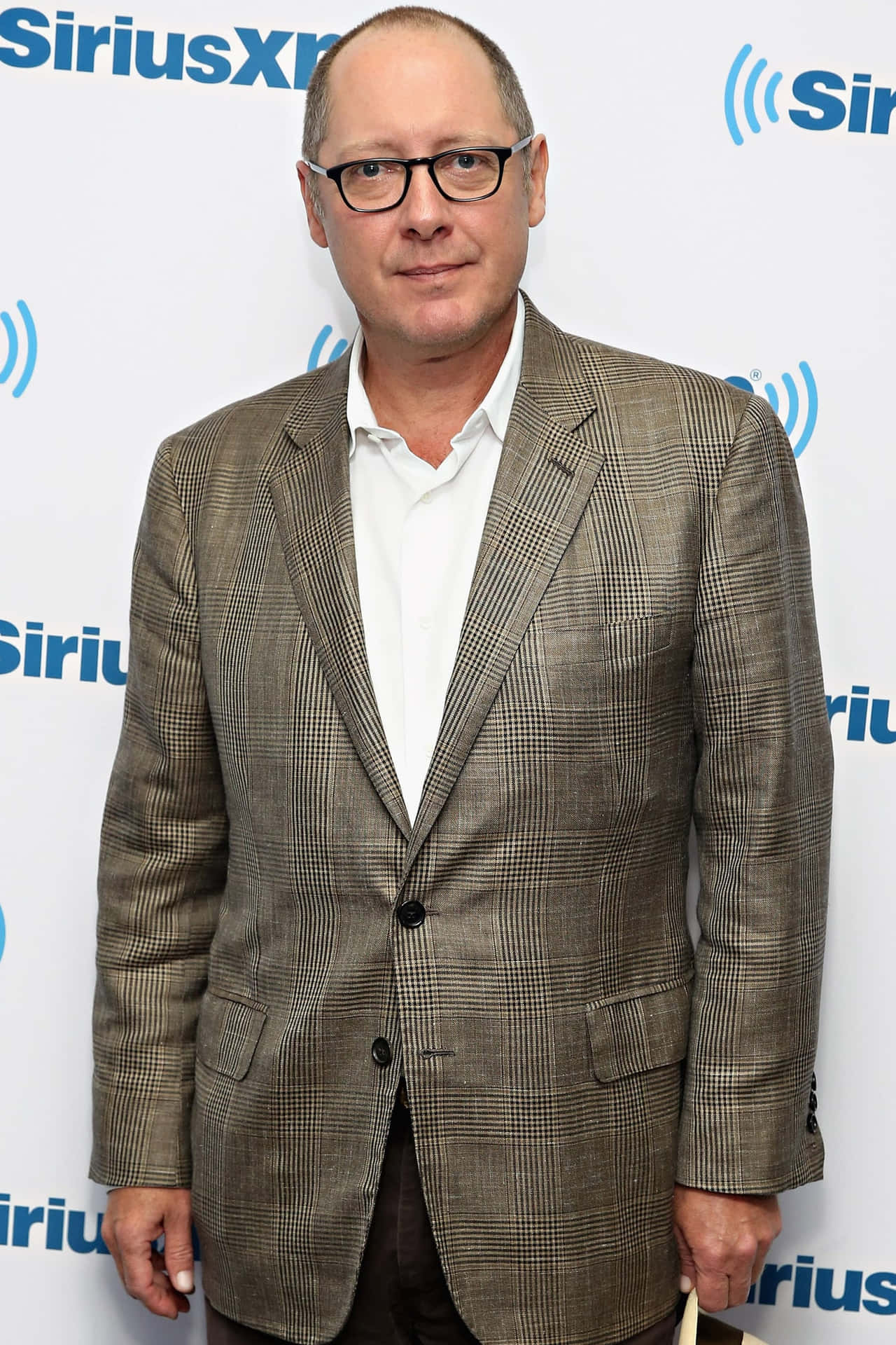 Potret Menerangi Aktor James Spader Wallpaper