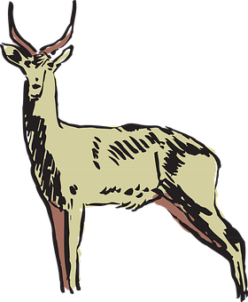 Illustrated Antelope Profile PNG