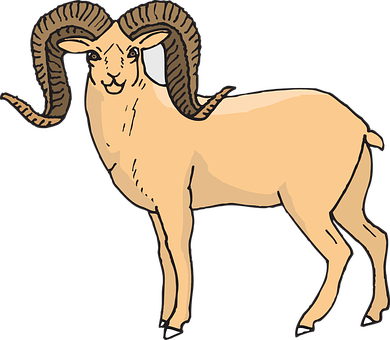 Illustrated Bighorn Sheep PNG