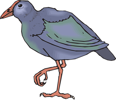 Illustrated Blue Bird Walking PNG